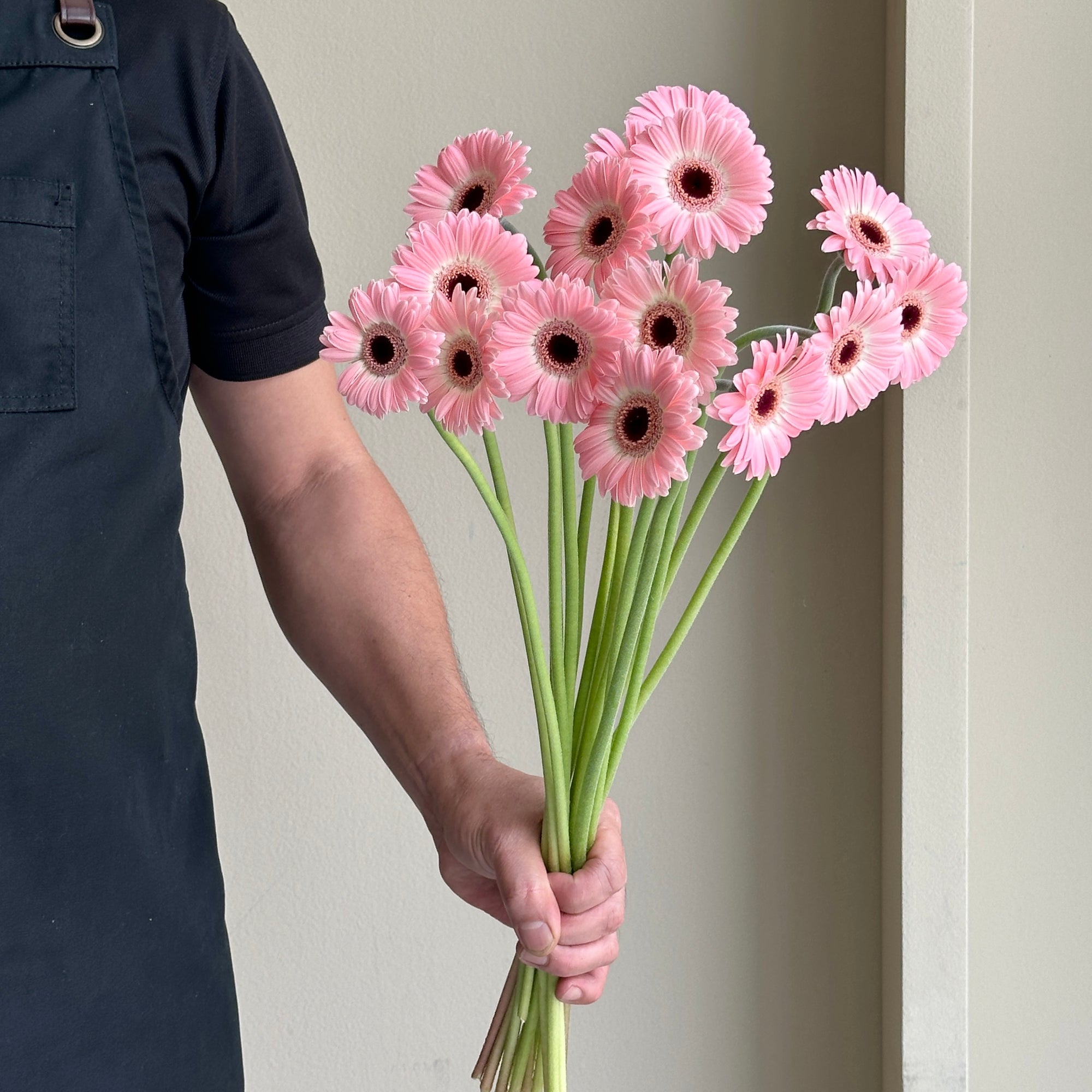 Gerbera - Mini Dixon Pink (15 stems)