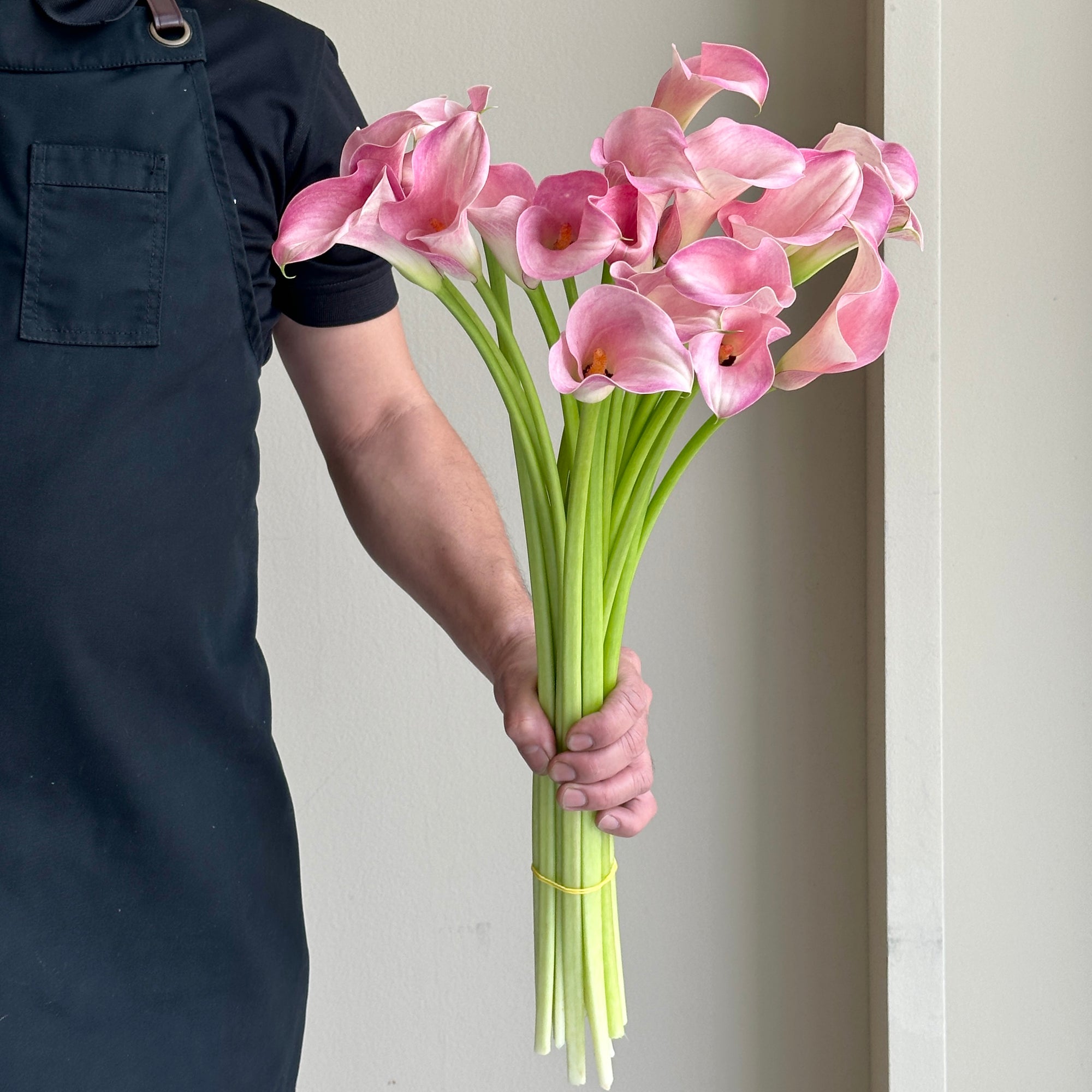 Calla Lilies - Denver Pink