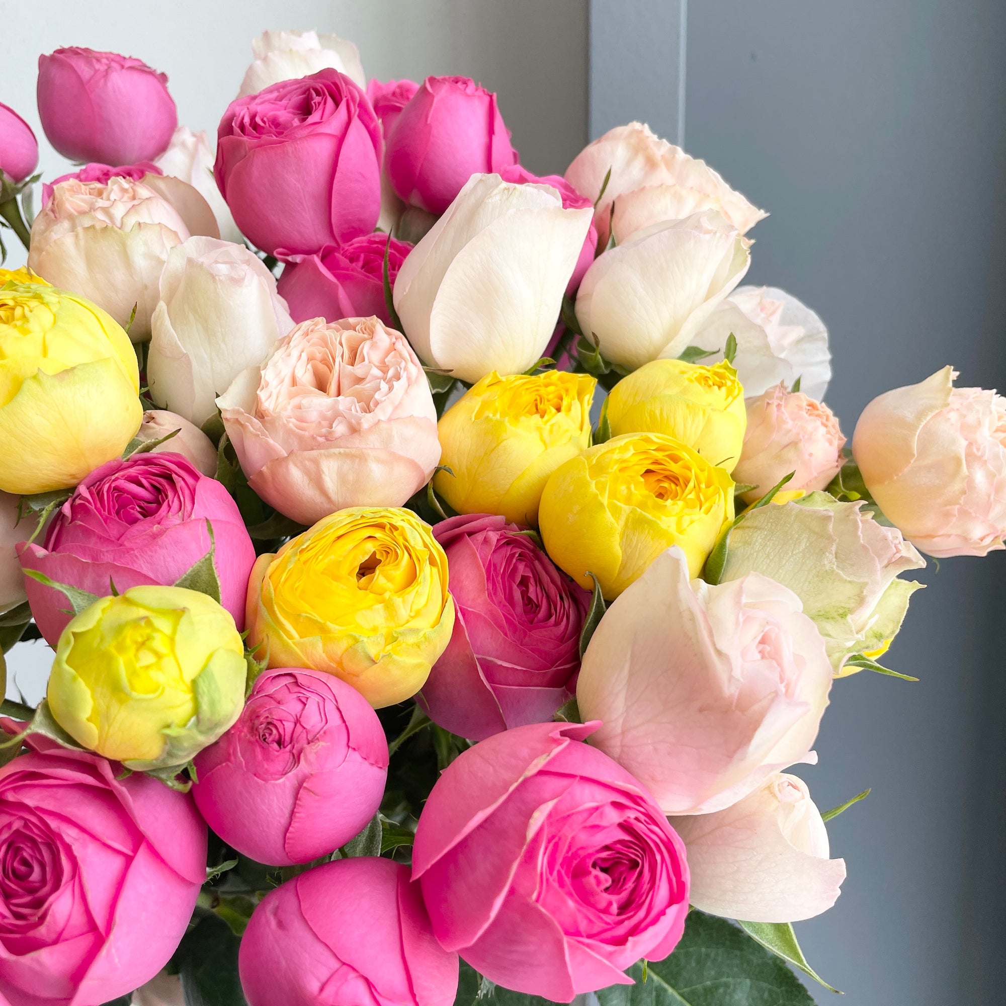 Spray Roses Mixed - Dainty Petals