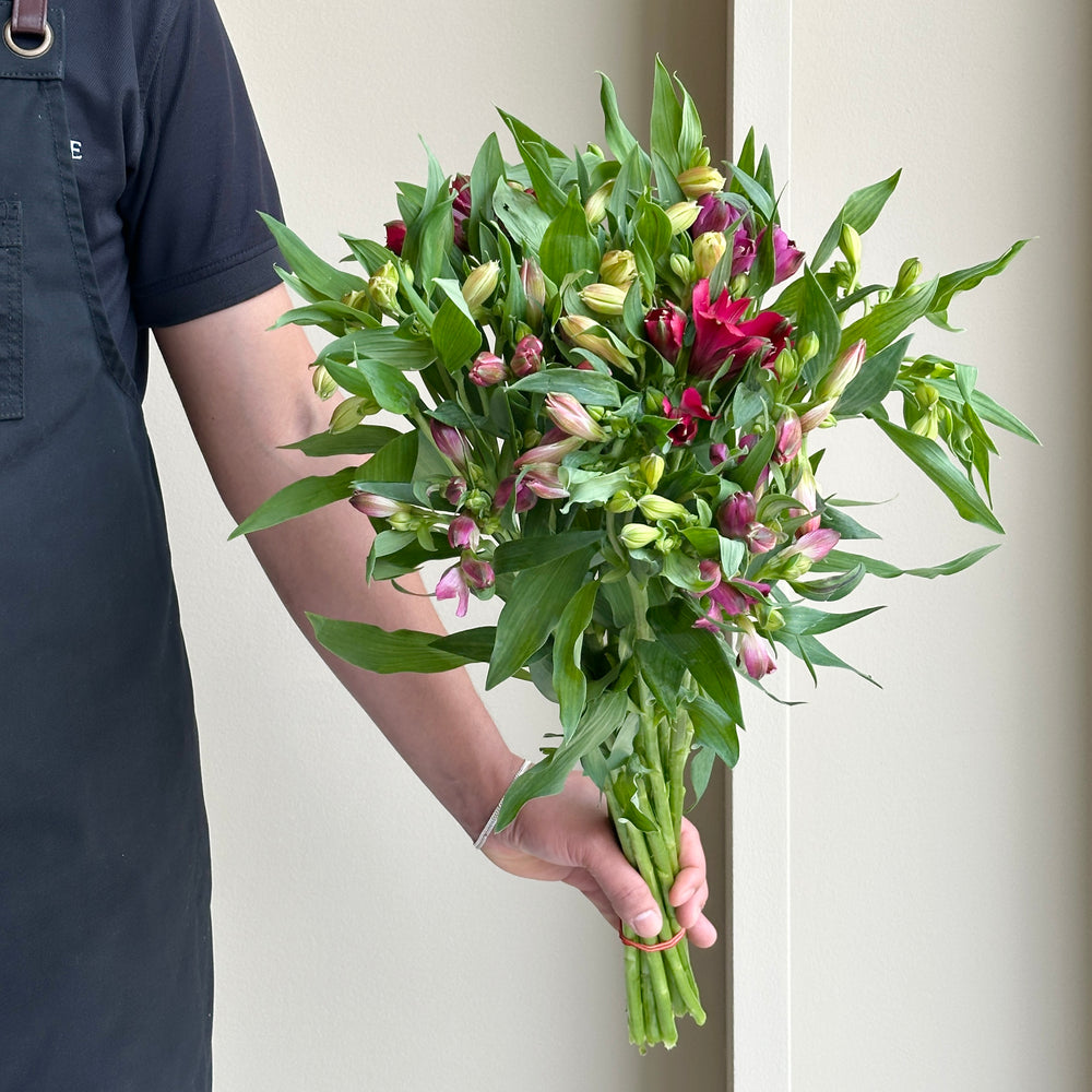 Alstroemerias - Assorted Mix (15 stems)