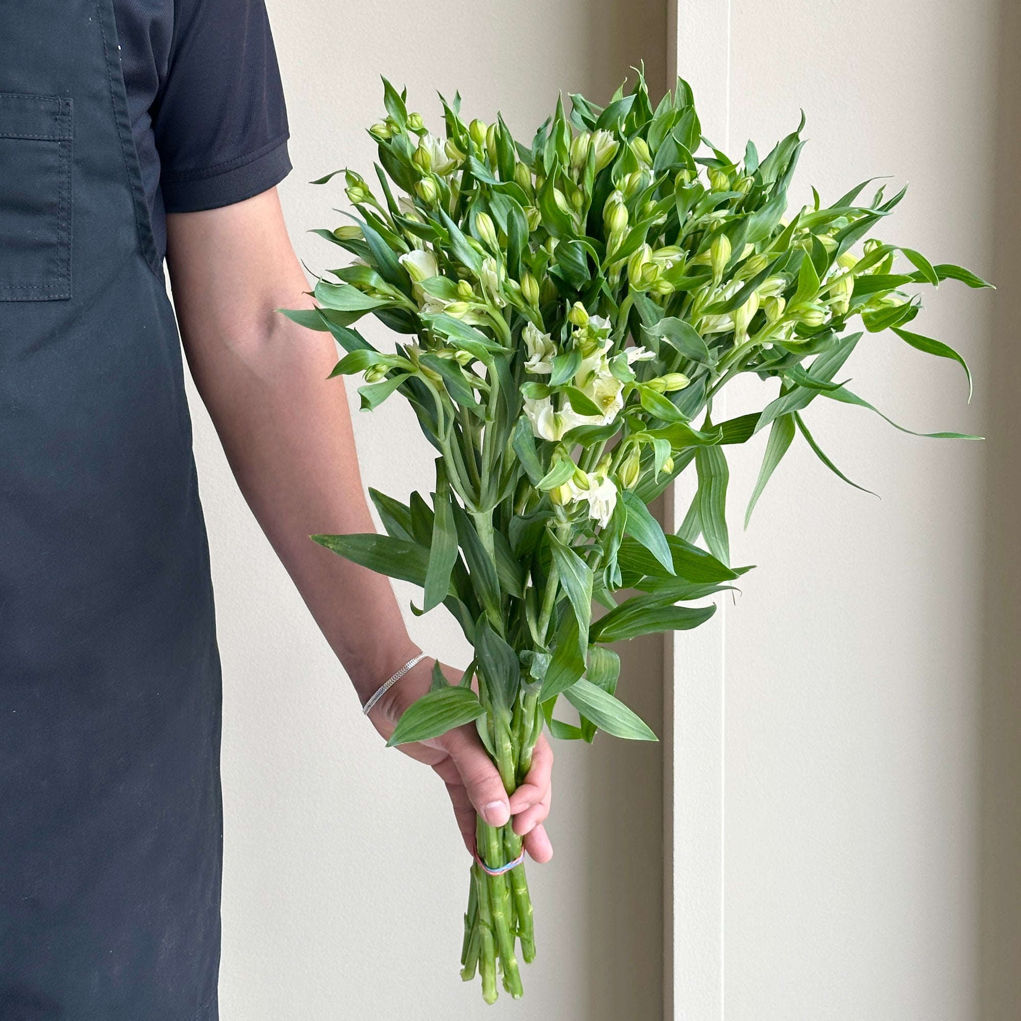 Alstroemerias - White (10 stems)