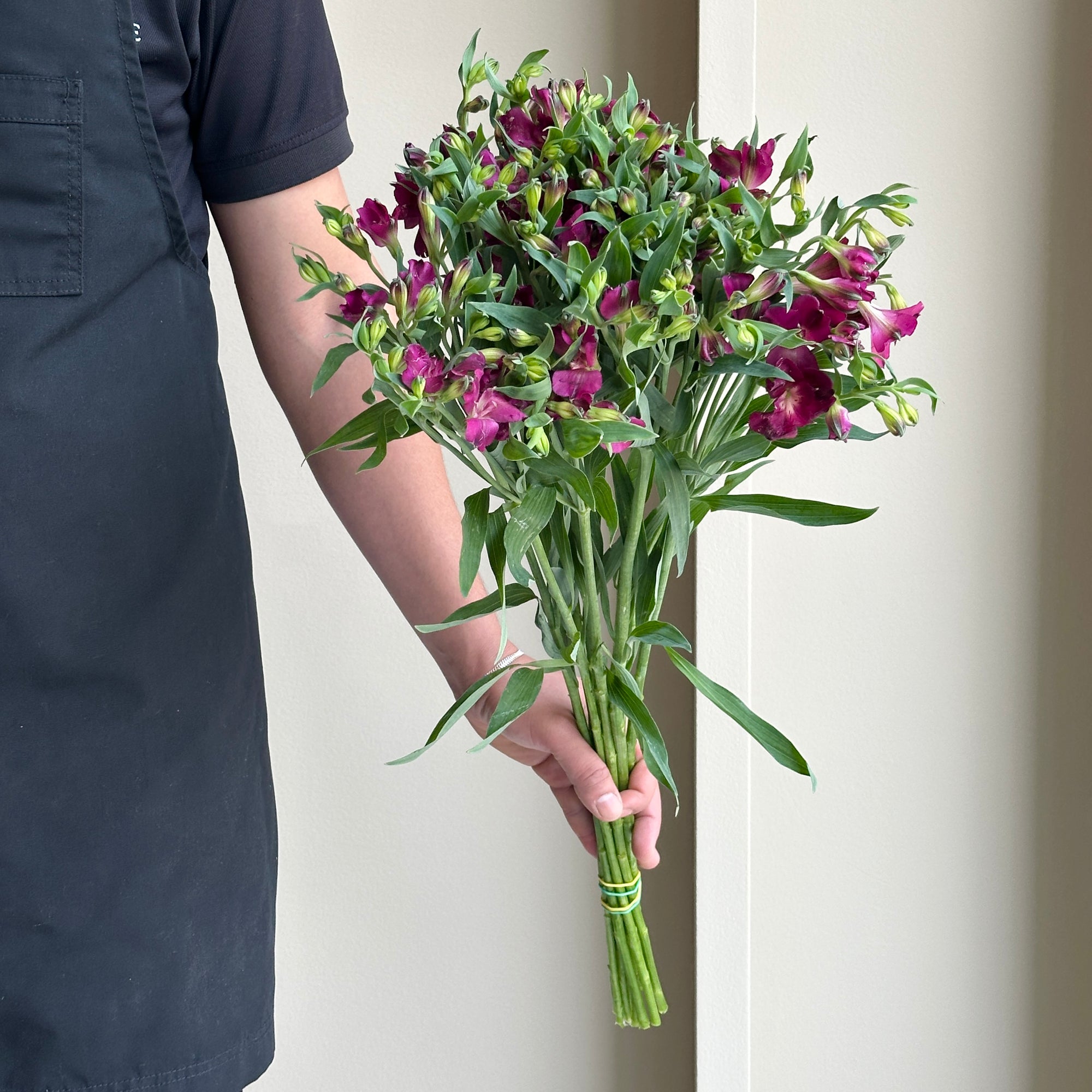 Alstroemerias - Fuchsia (10 stems)