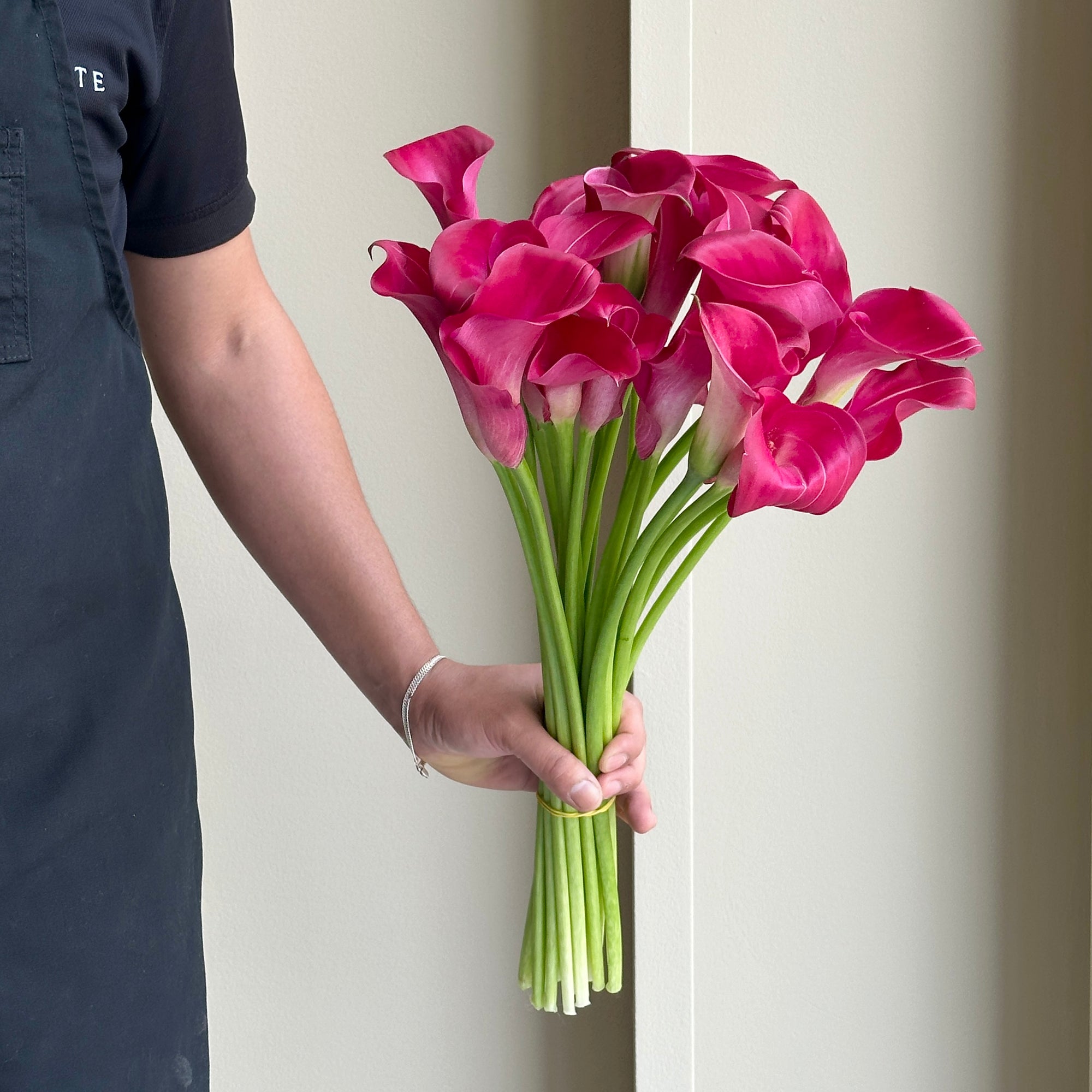 Calla Lilies - Denver Pink
