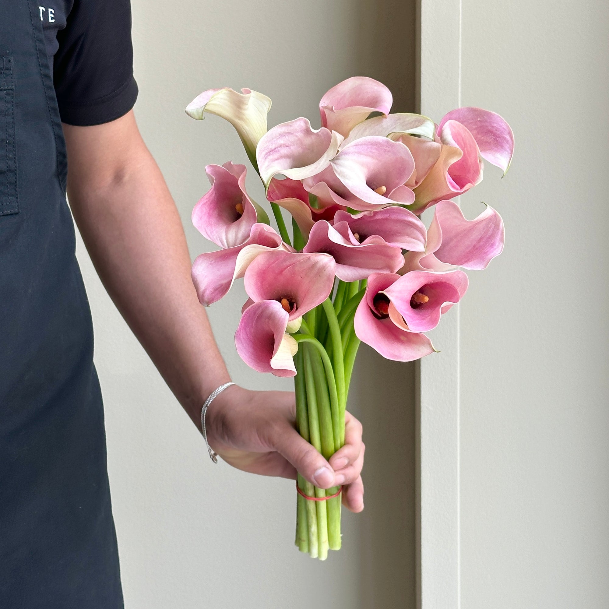 Calla Lilies - Pale Pink