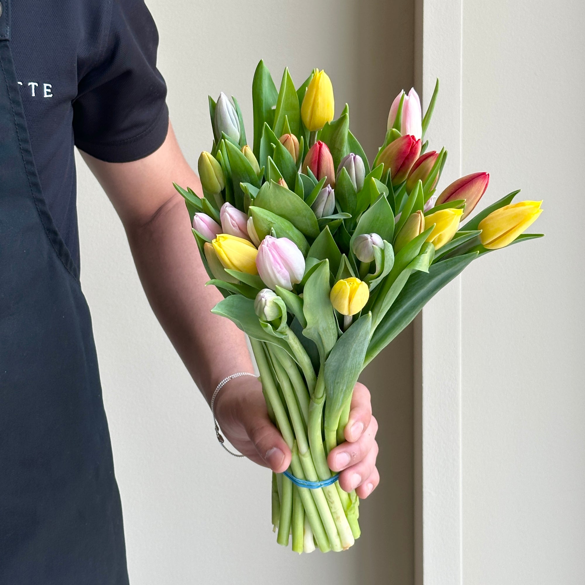 Tulips - Spring Fling Mix