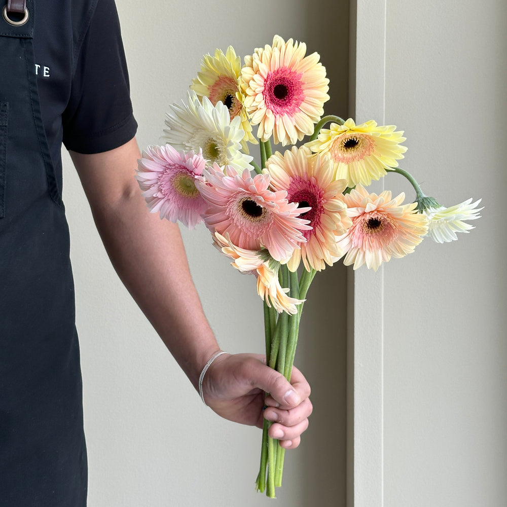 Gerbera Mix - Fantasia Dream (15 stems)