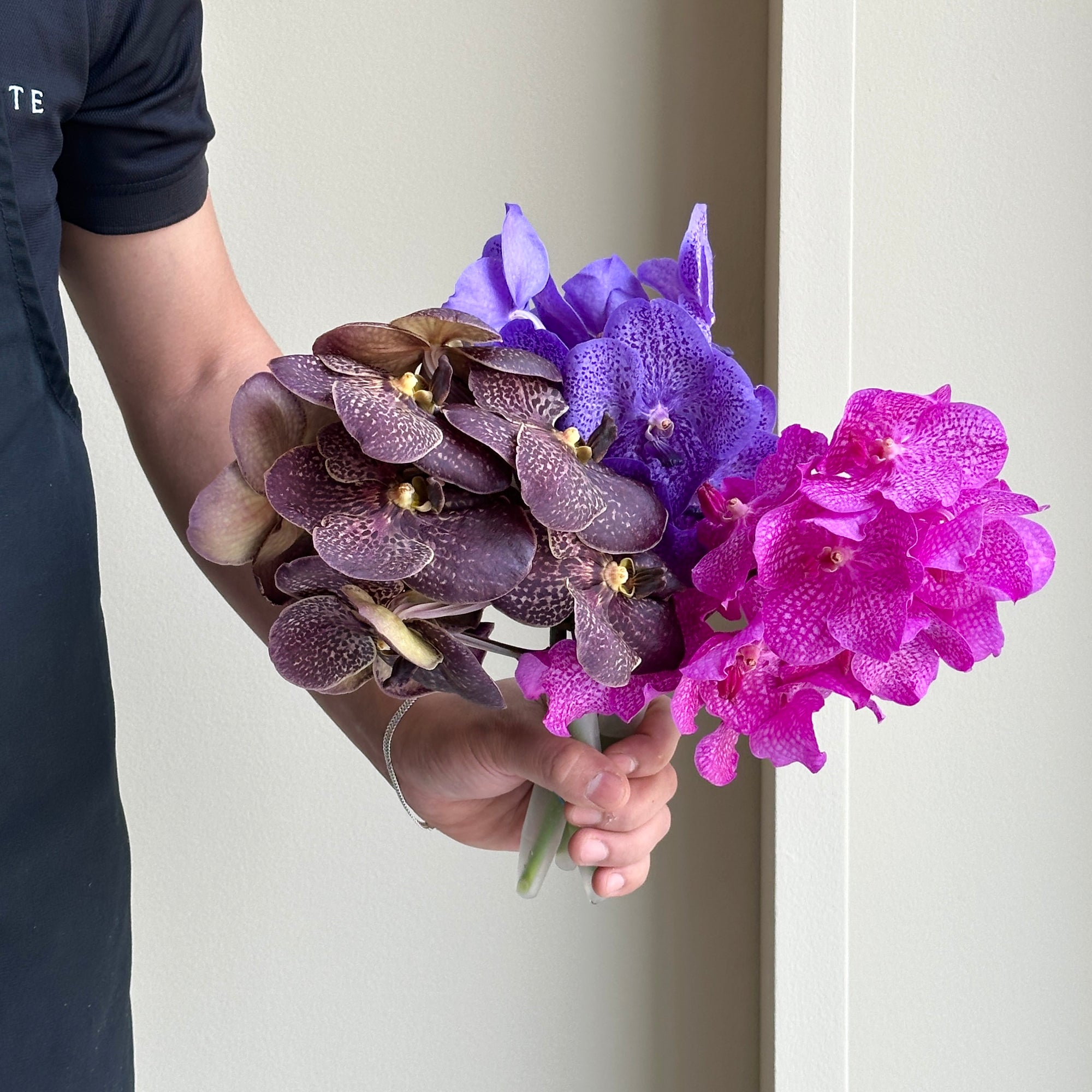 Vanda Orchids - Novelty Mix (3 stems)