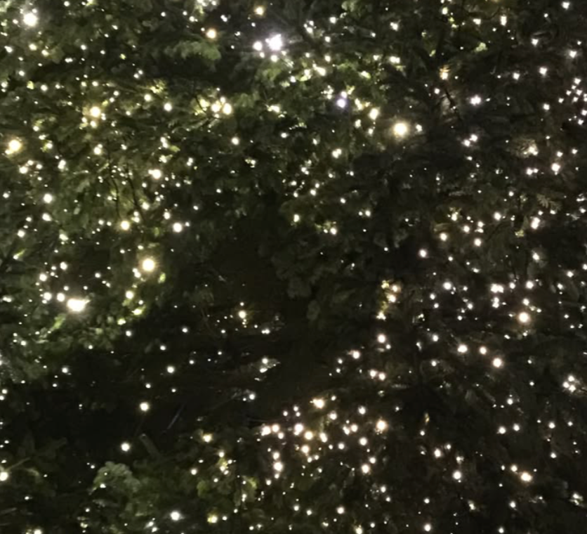 The Florette Christmas Glow - Let There Be Light (1.1m - 2.2m)