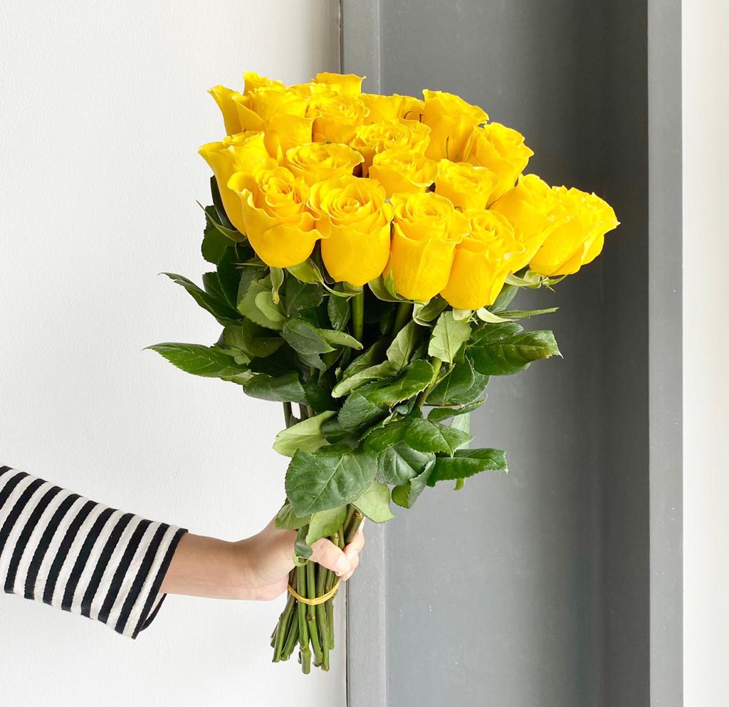 Roses - Brighton Yellow