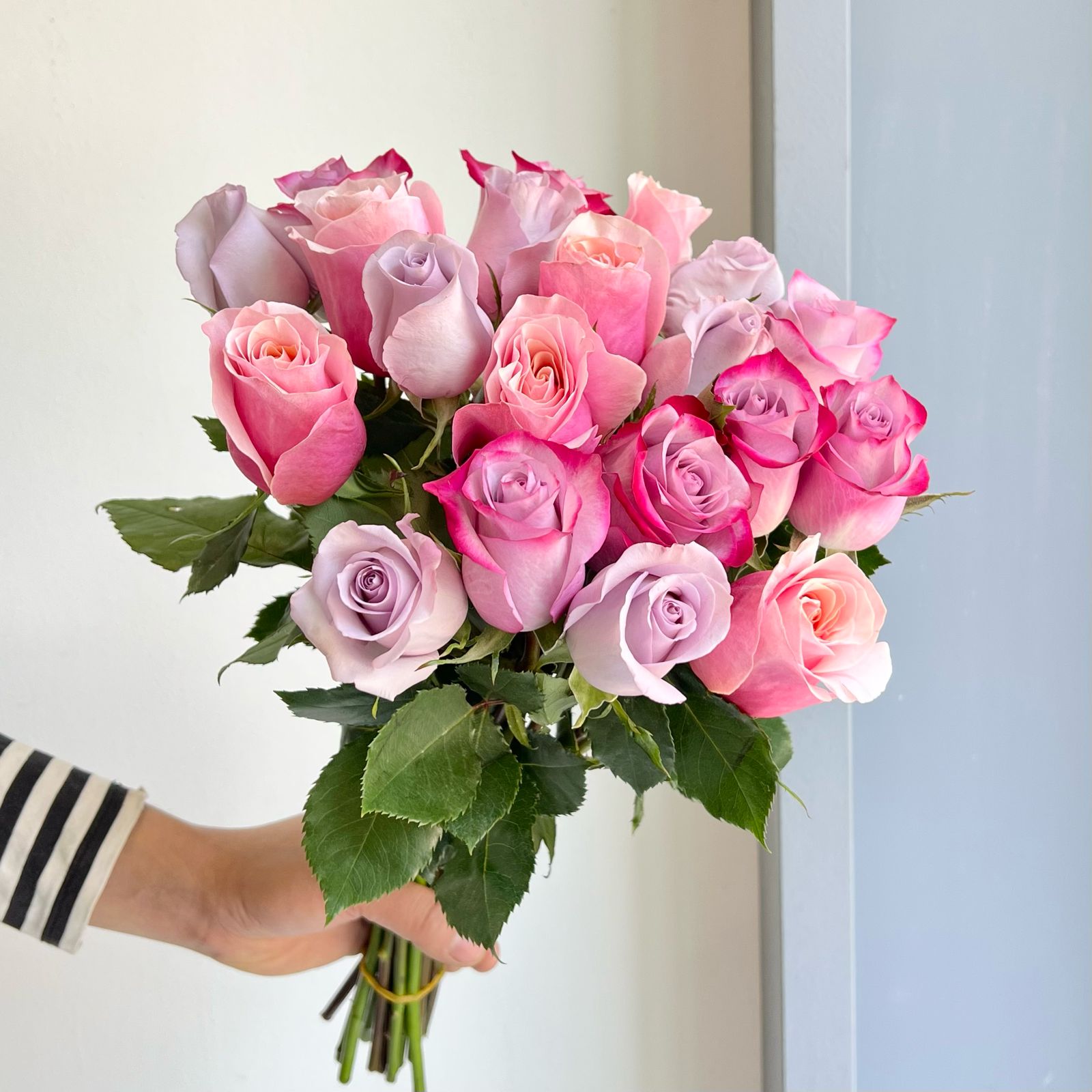 Roses Mixed - Sugar N Spice