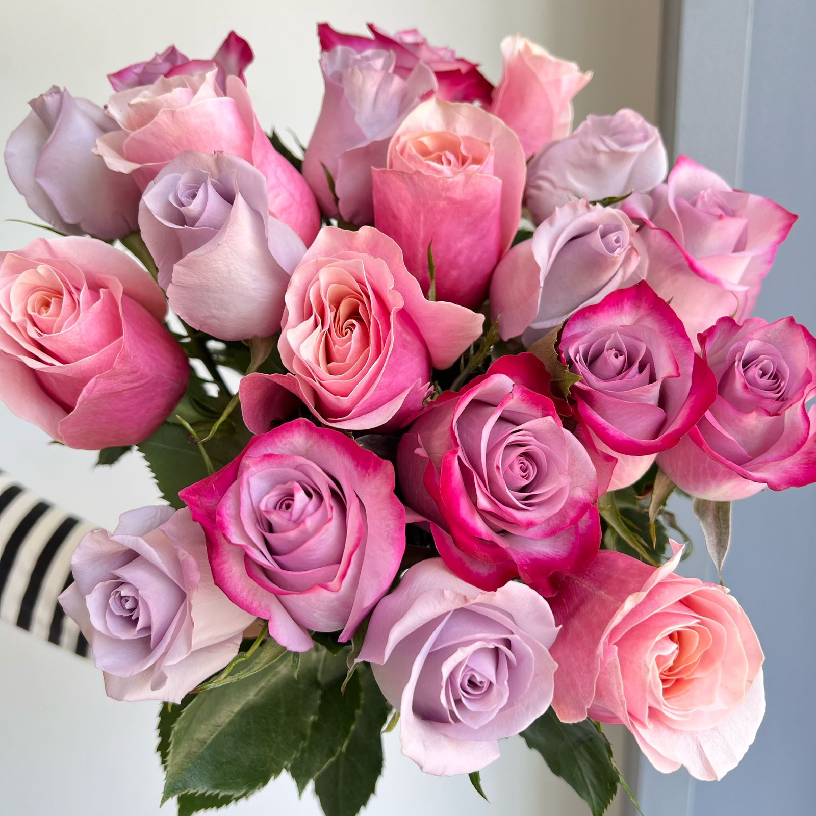 Roses Mixed - Sugar N Spice