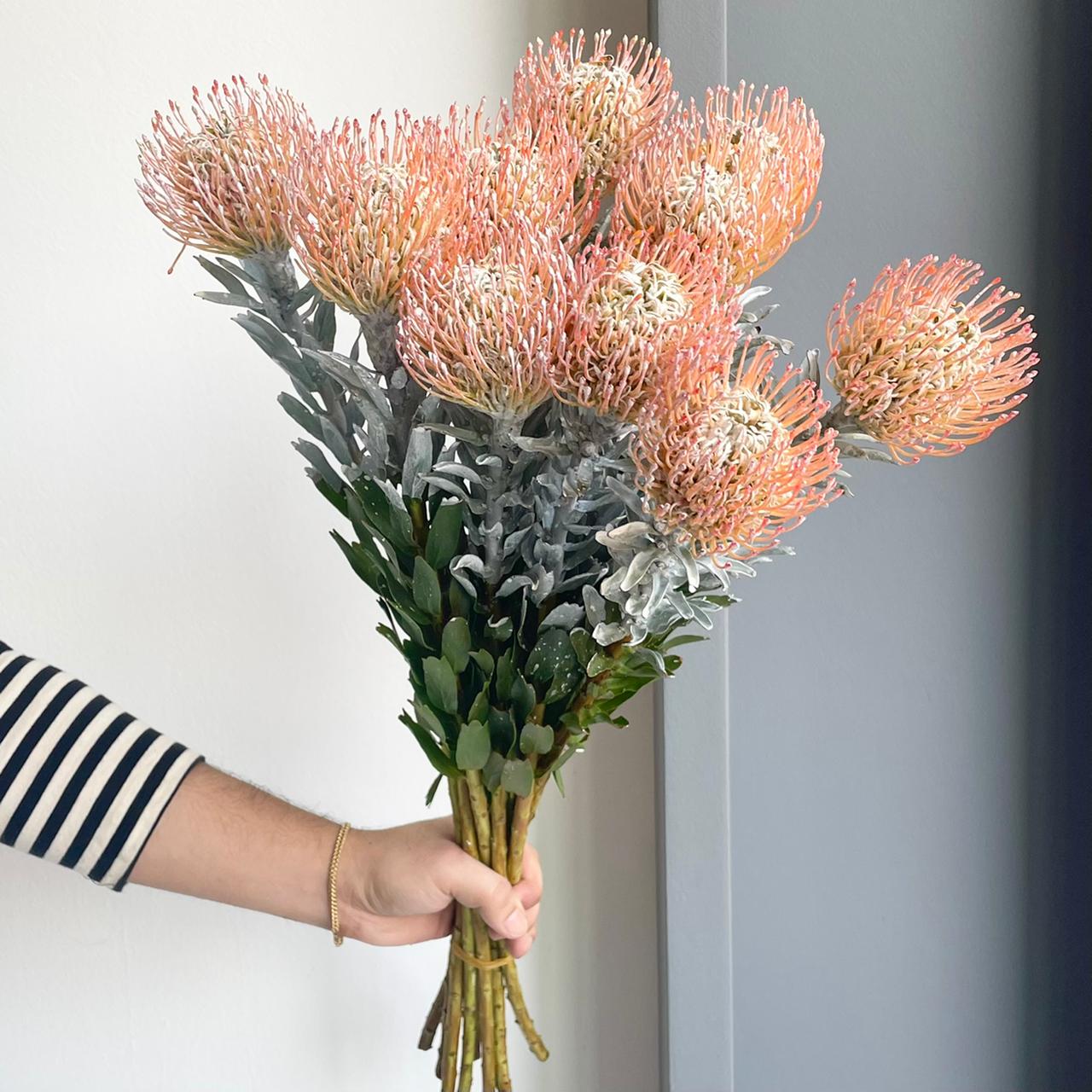 Leucospermum - Dyed White