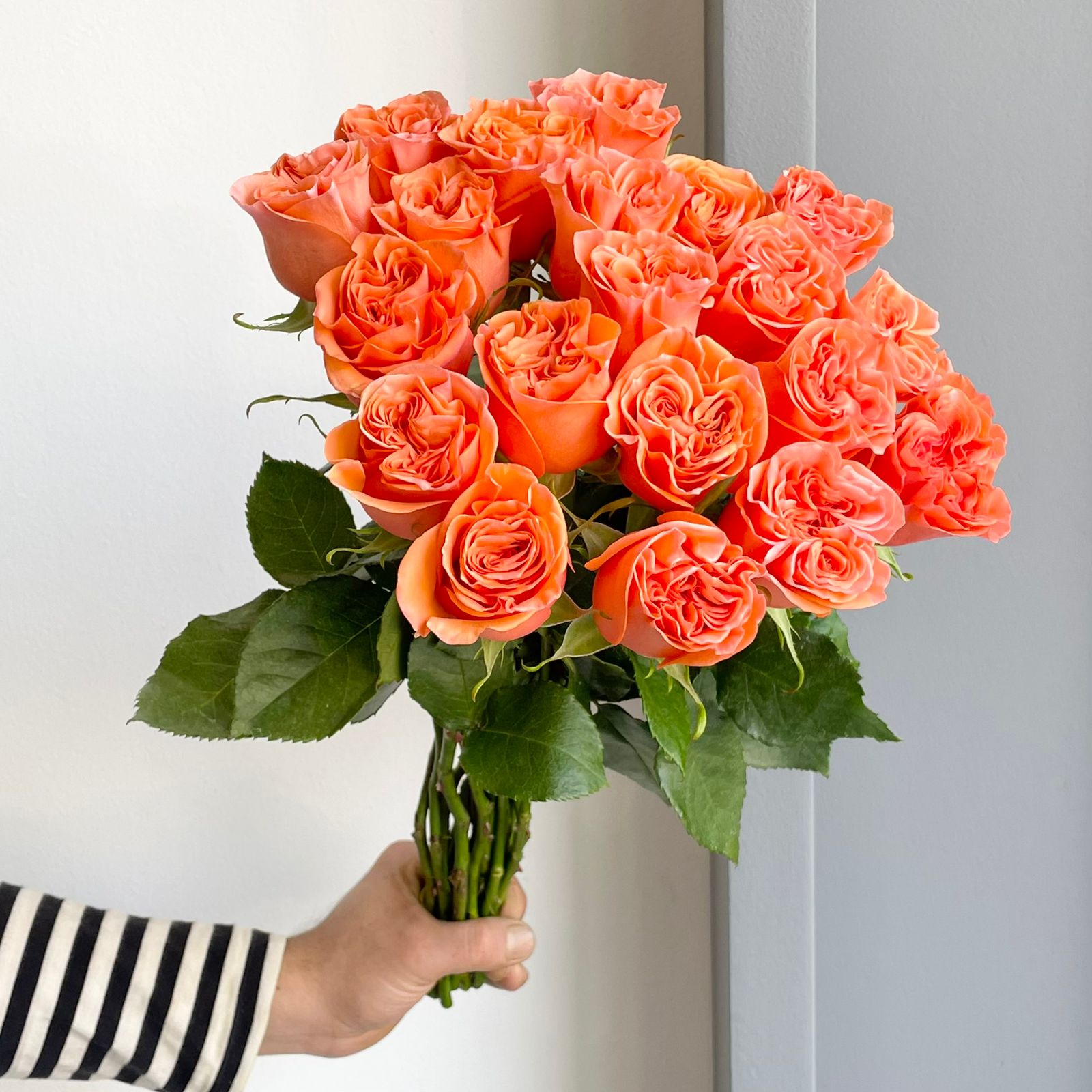 Roses - Glam Orange