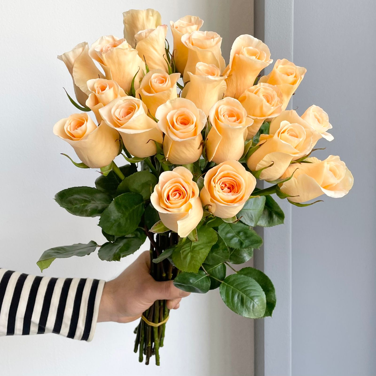 Roses - Peach Wave