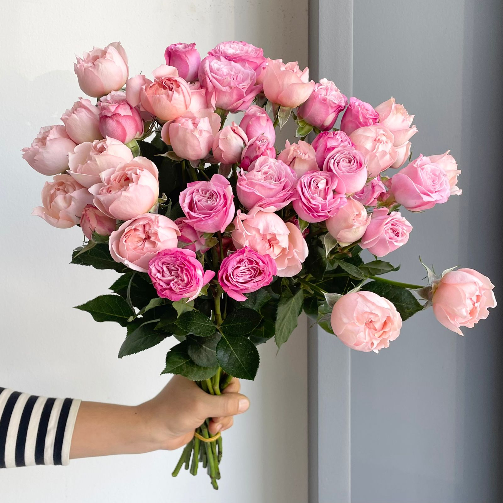 Spray Roses - Blush and Bloom Mix
