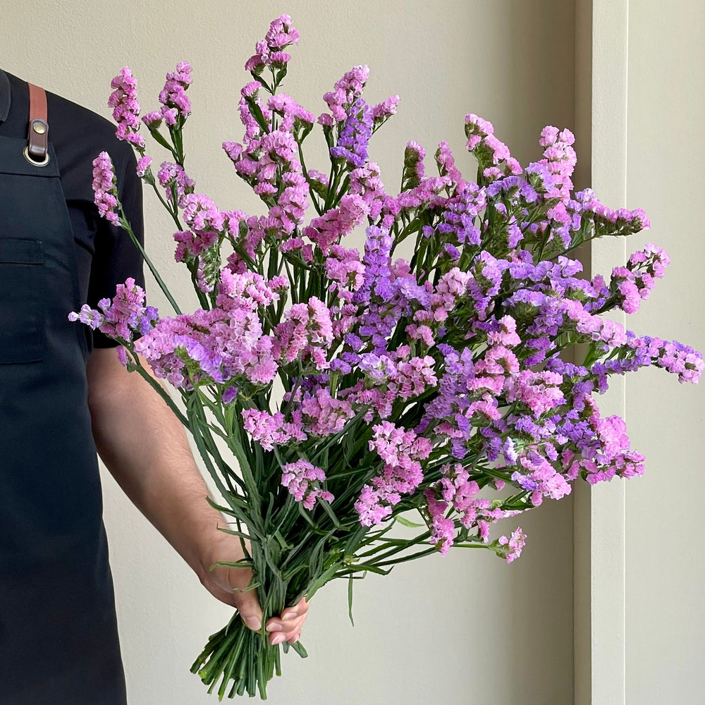 Statice - Pink & Lavender Mix