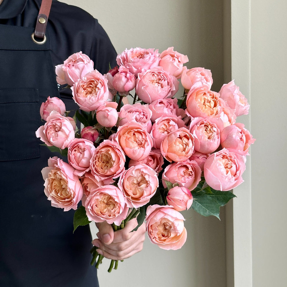 Spray Roses - Julietta Pink