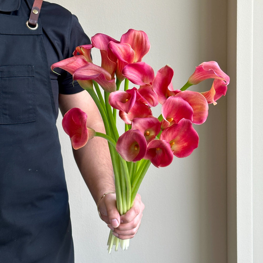 Calla Lilies - Coral Red (Mini)