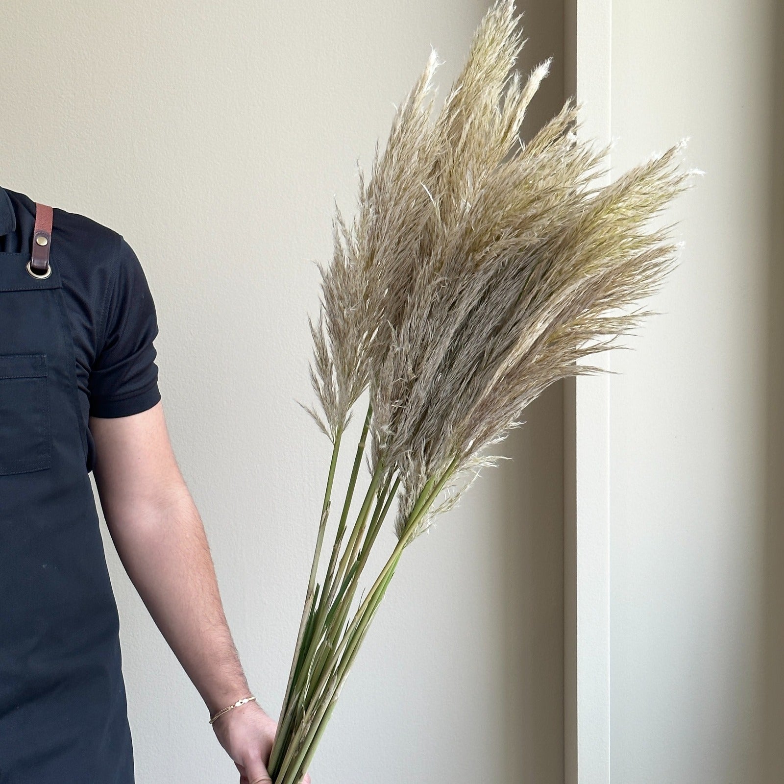 Pampas Grass (Cortaderia Vers)