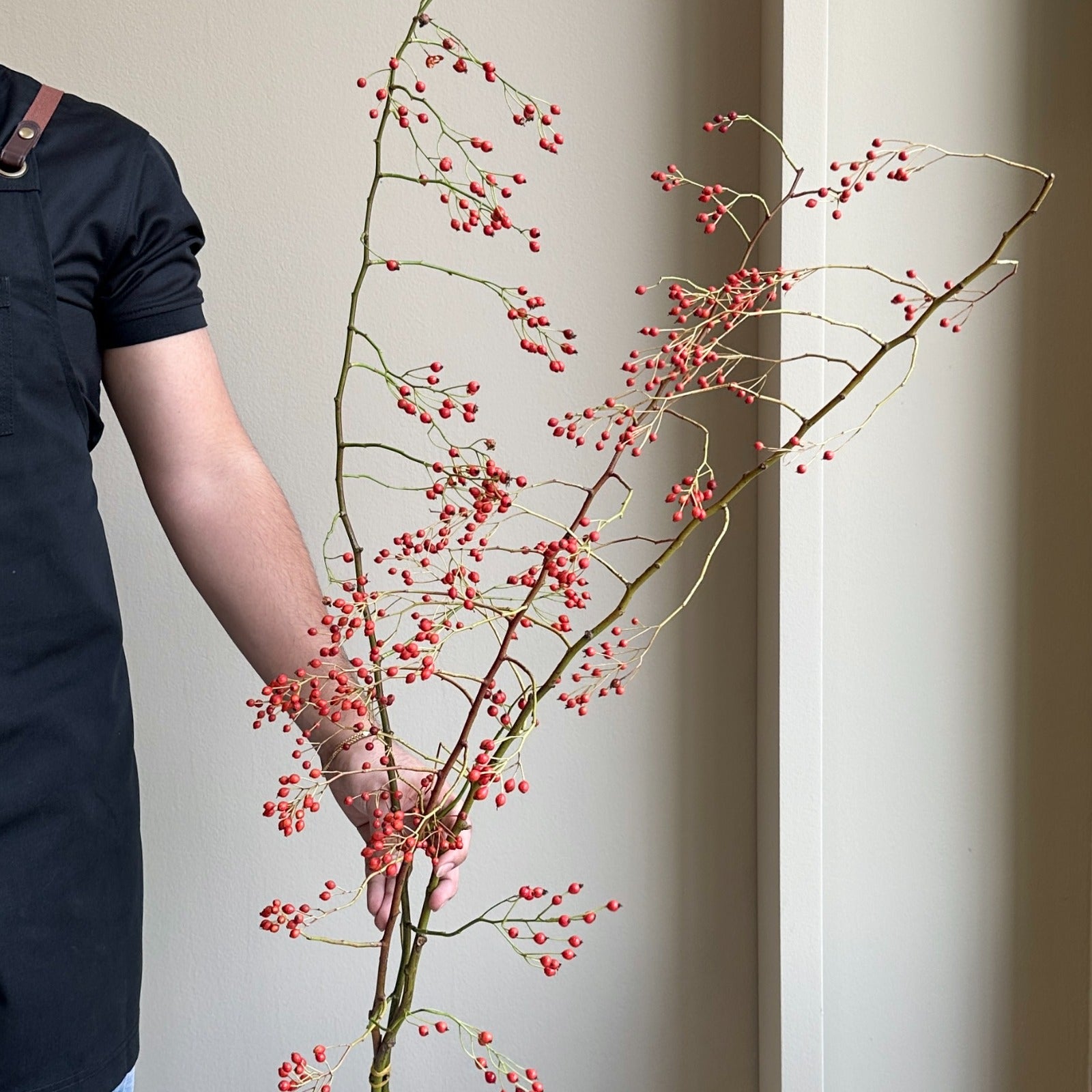 Rosehip Rosa Corallo