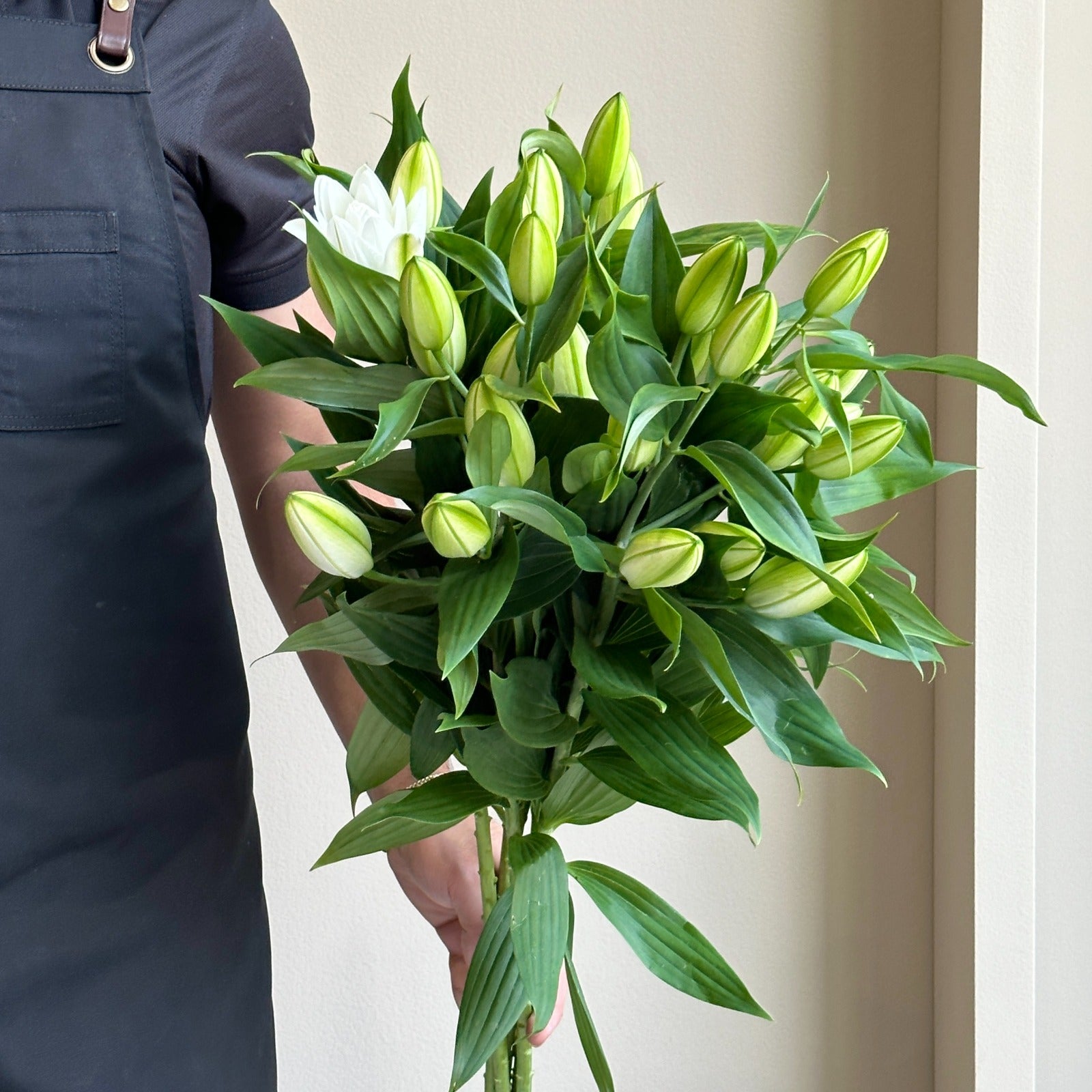 Lilies Oriental Double - Chardonnay White