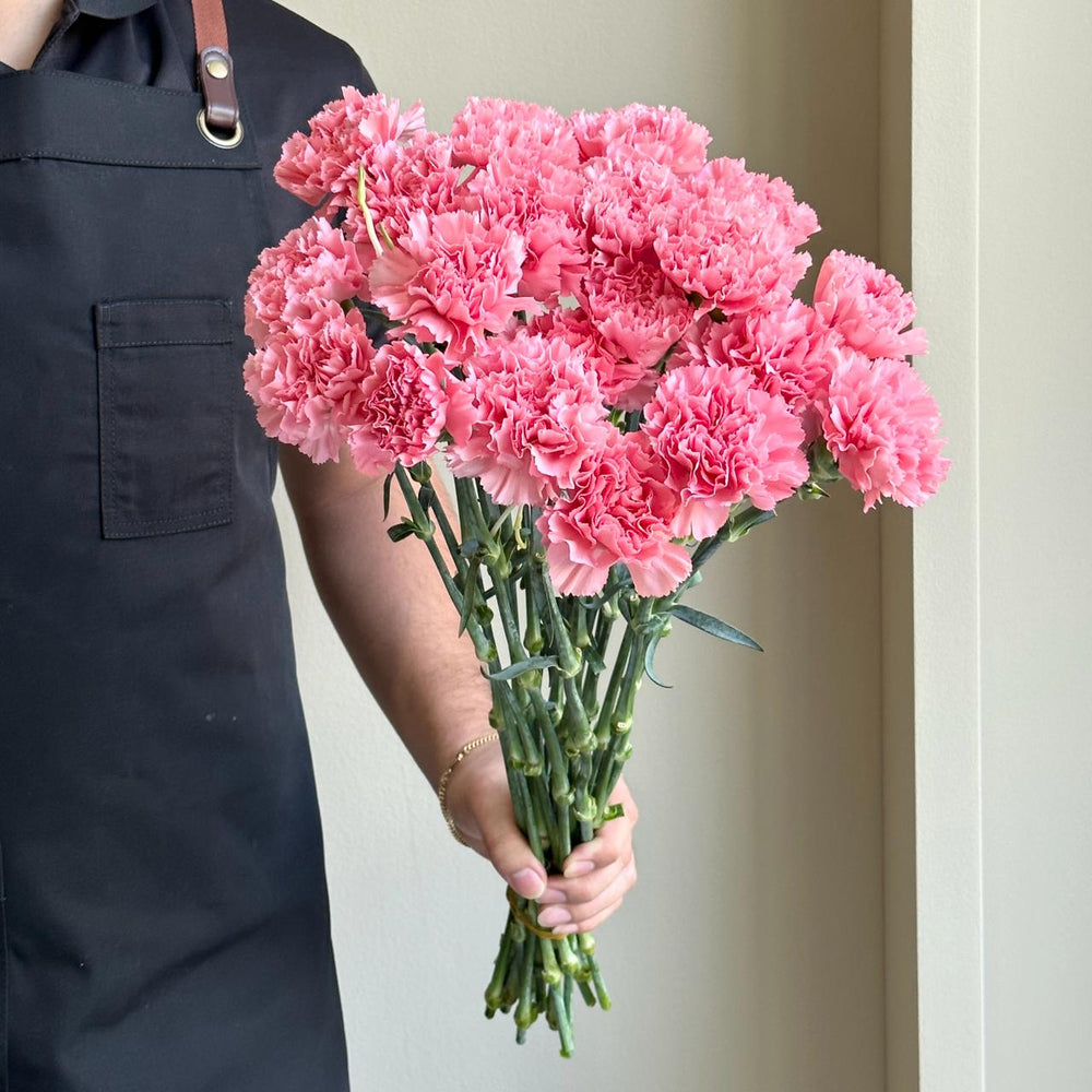 Carnations - Dark Pink