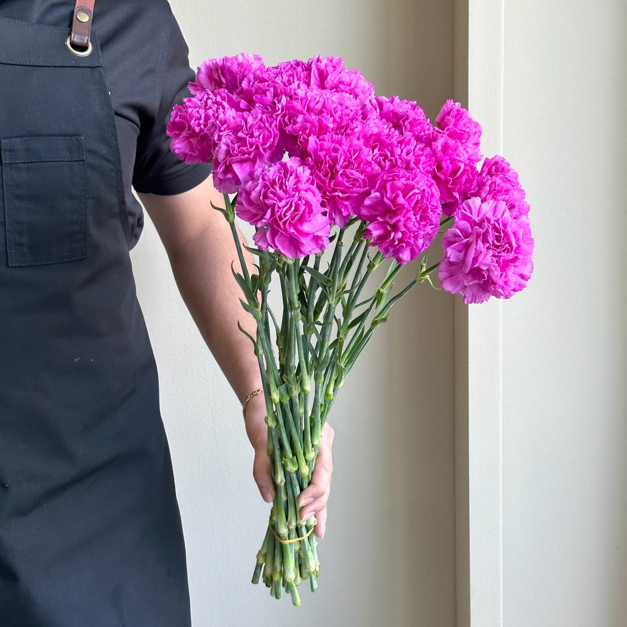 Carnations - Farida Lavender