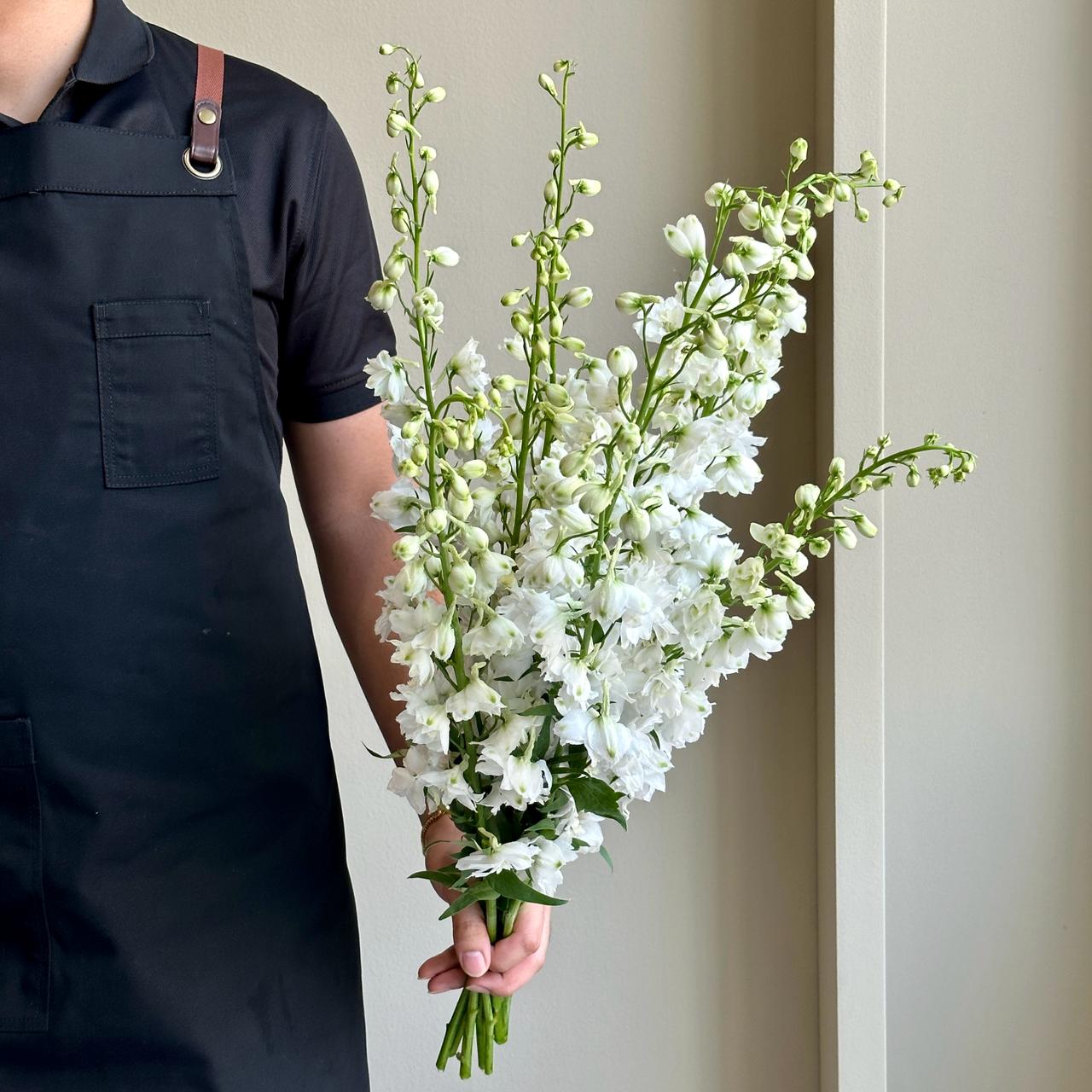 Wild Delphiniums - White