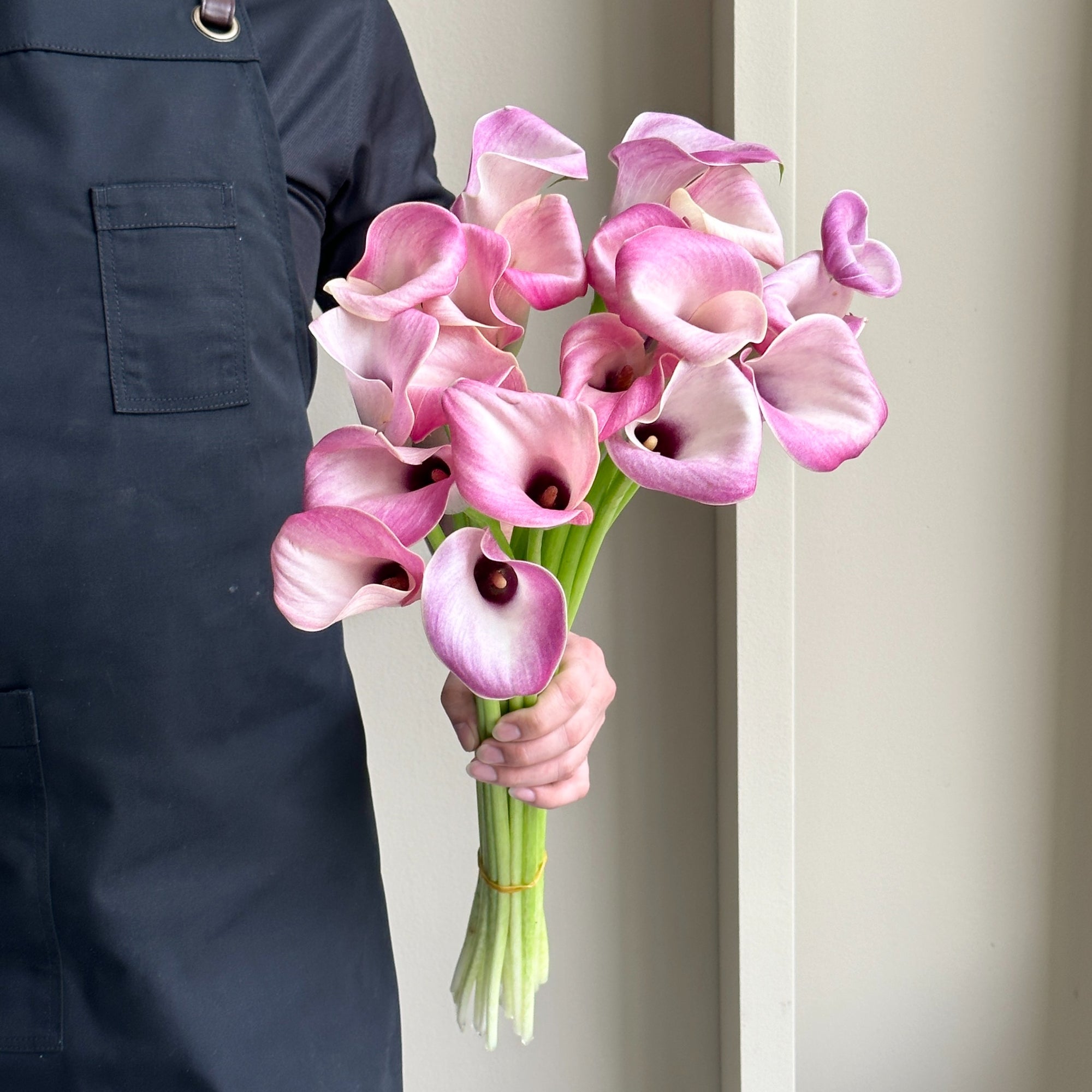 Calla Lilies - Denver Pink