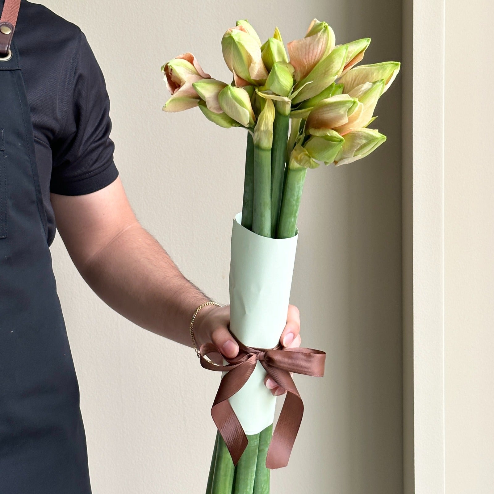 Amaryllis - Rilona (6 stems)