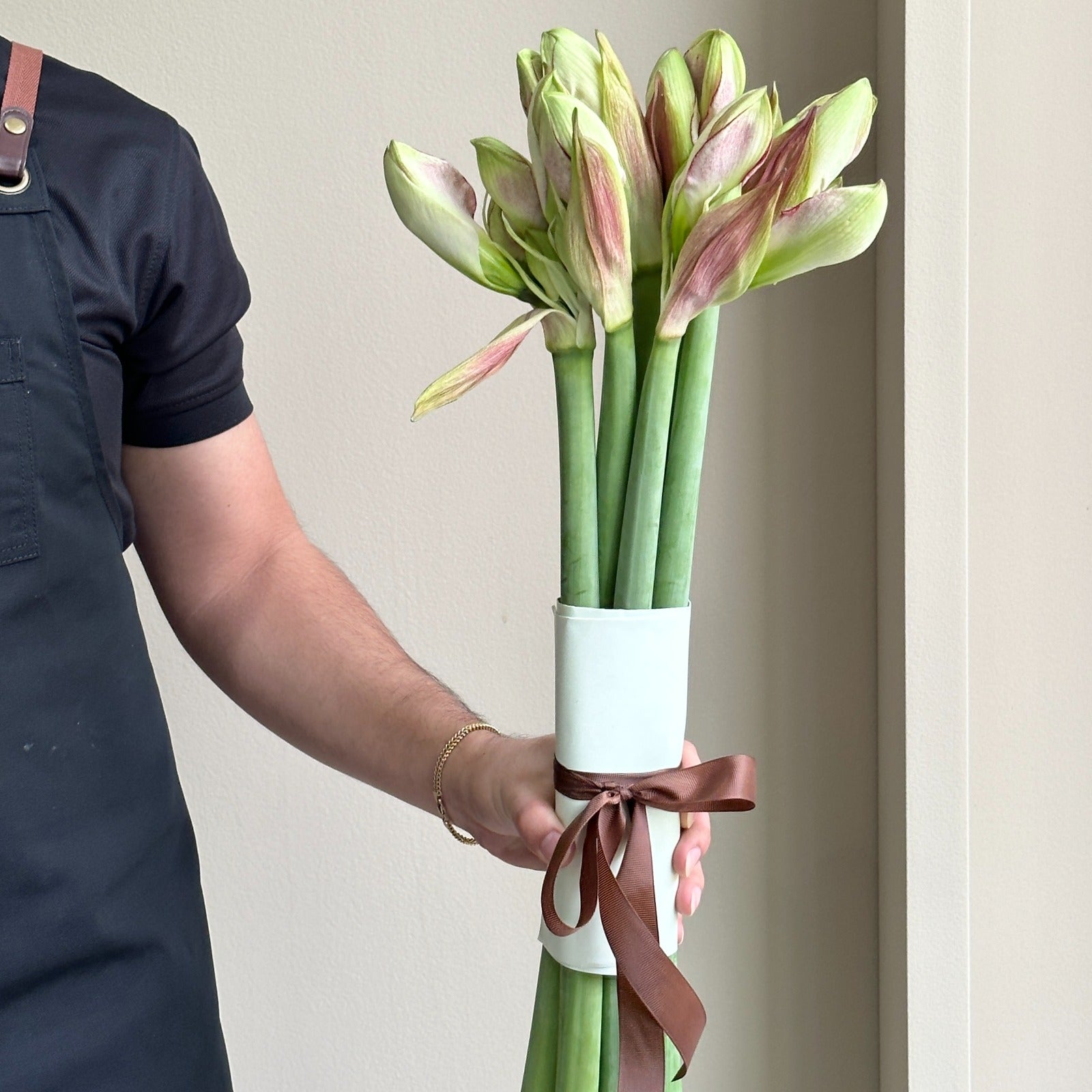 Amaryllis - Exception (6 stems)