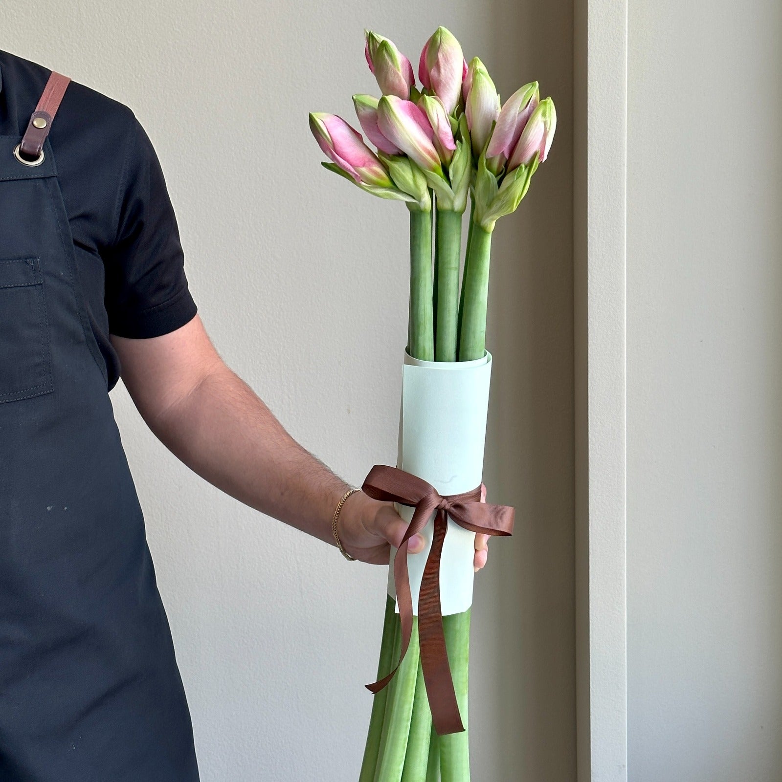 Amaryllis - Paris Light Rose (6 stems)