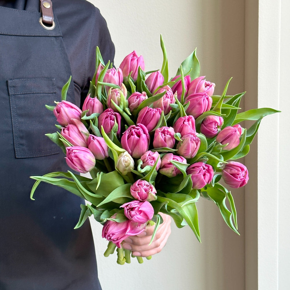 Tulips - Double Princess Purple