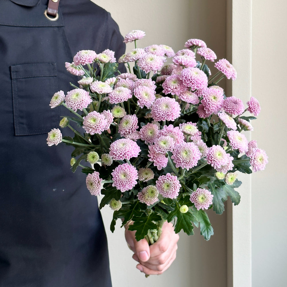 Chrysanthemum Spray - Santini Ellison Pink