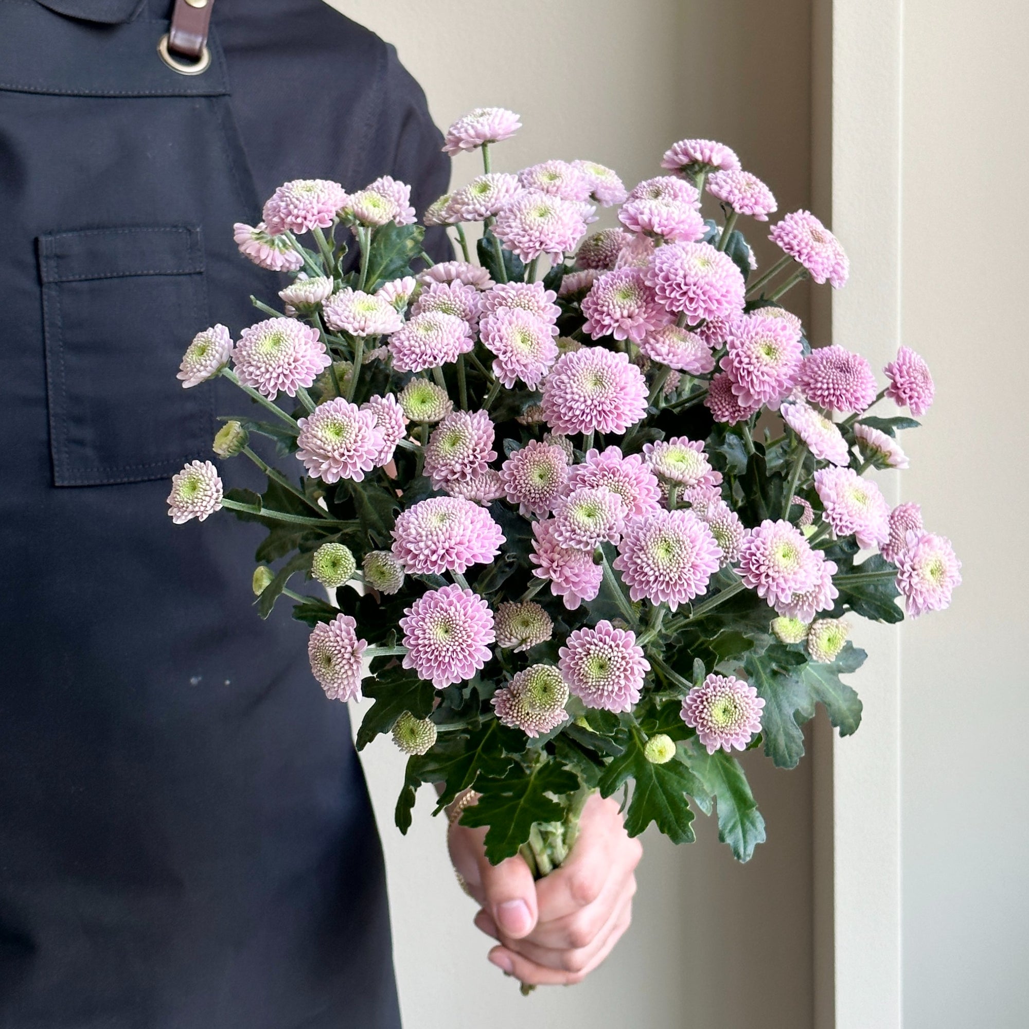 Chrysanthemum Spray - Santini Ellison Pink