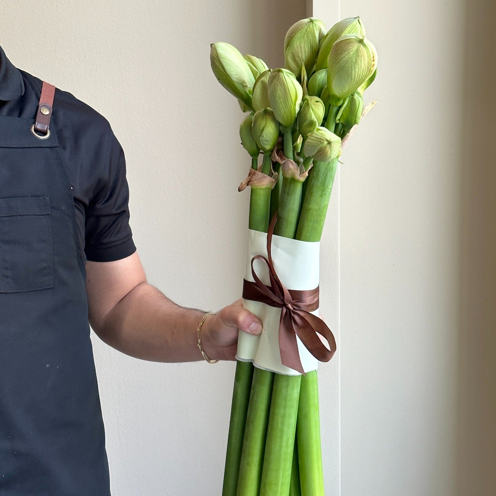 Amaryllis - Nymph (6 Stems)