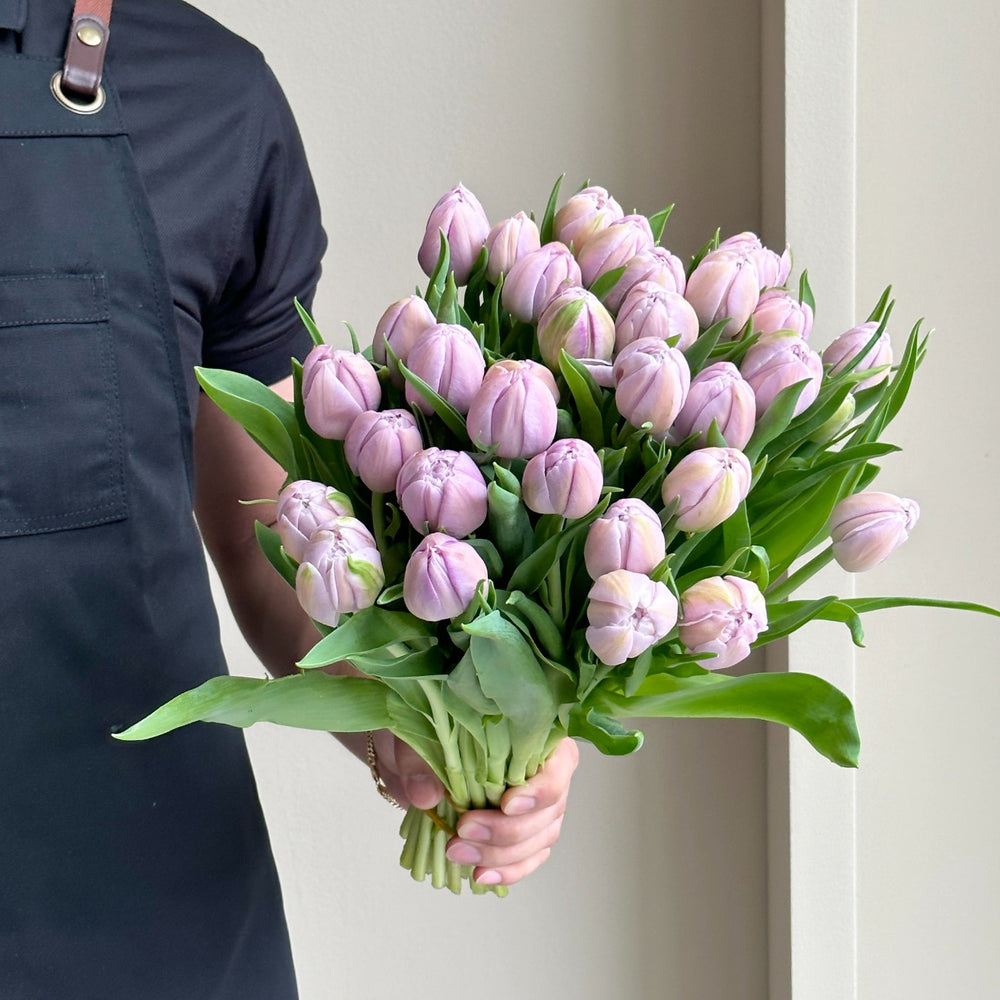 Tulips Double - Katinka Milka