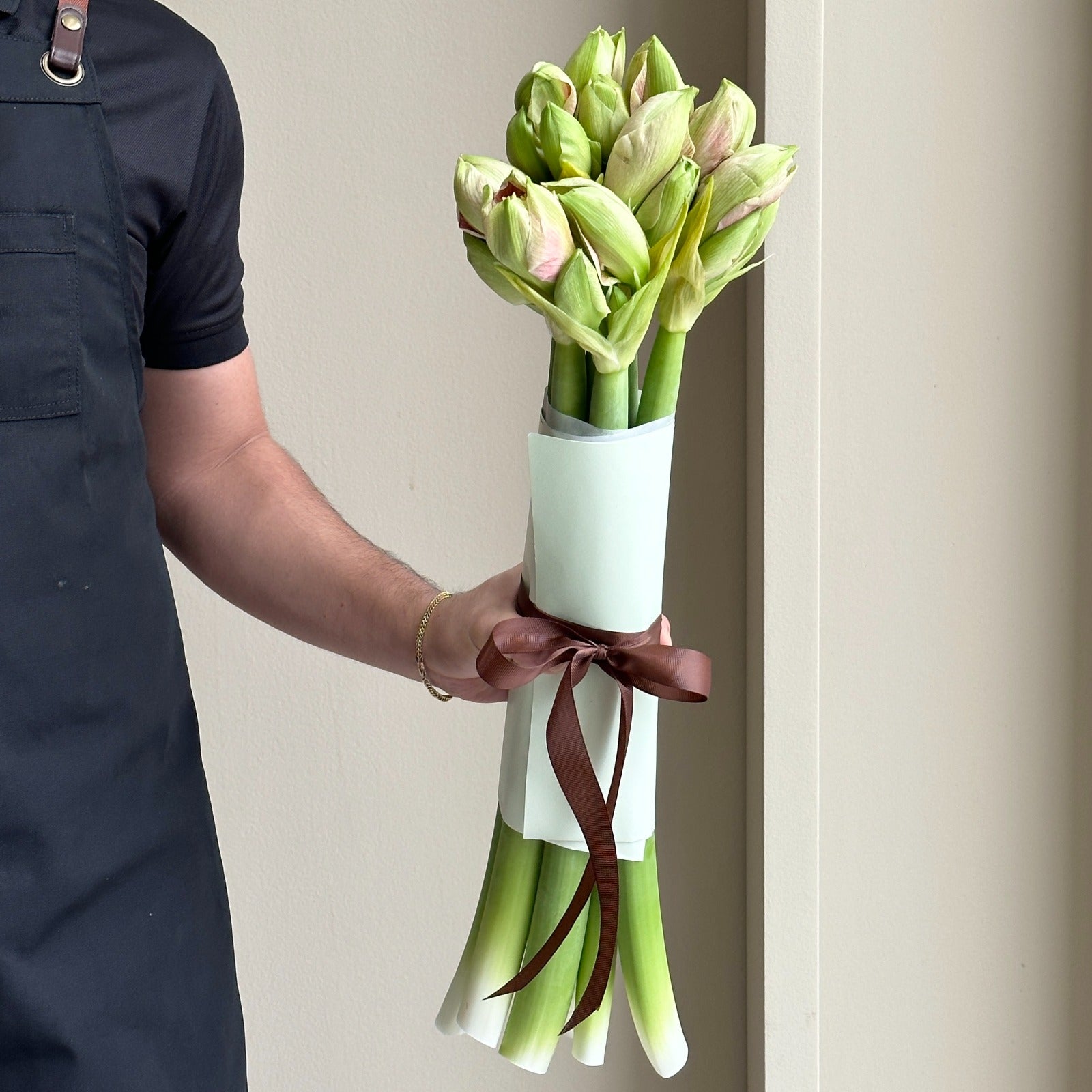 Amaryllis - Lovely Nymph (6 Stems)