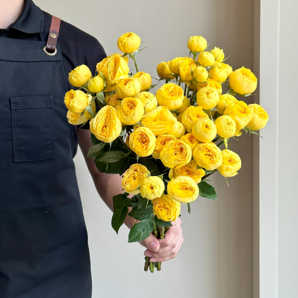 Spray Roses - Golden Trendsetter