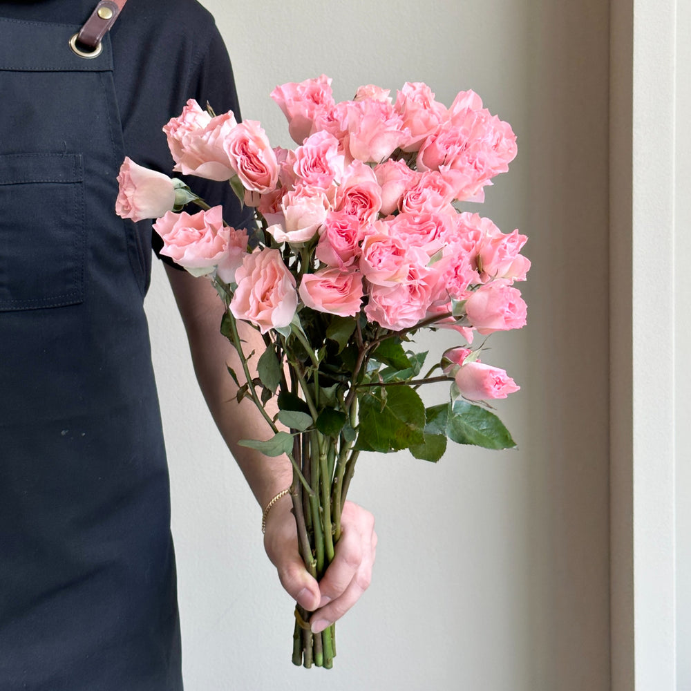 Spray Roses - Constellation Pink