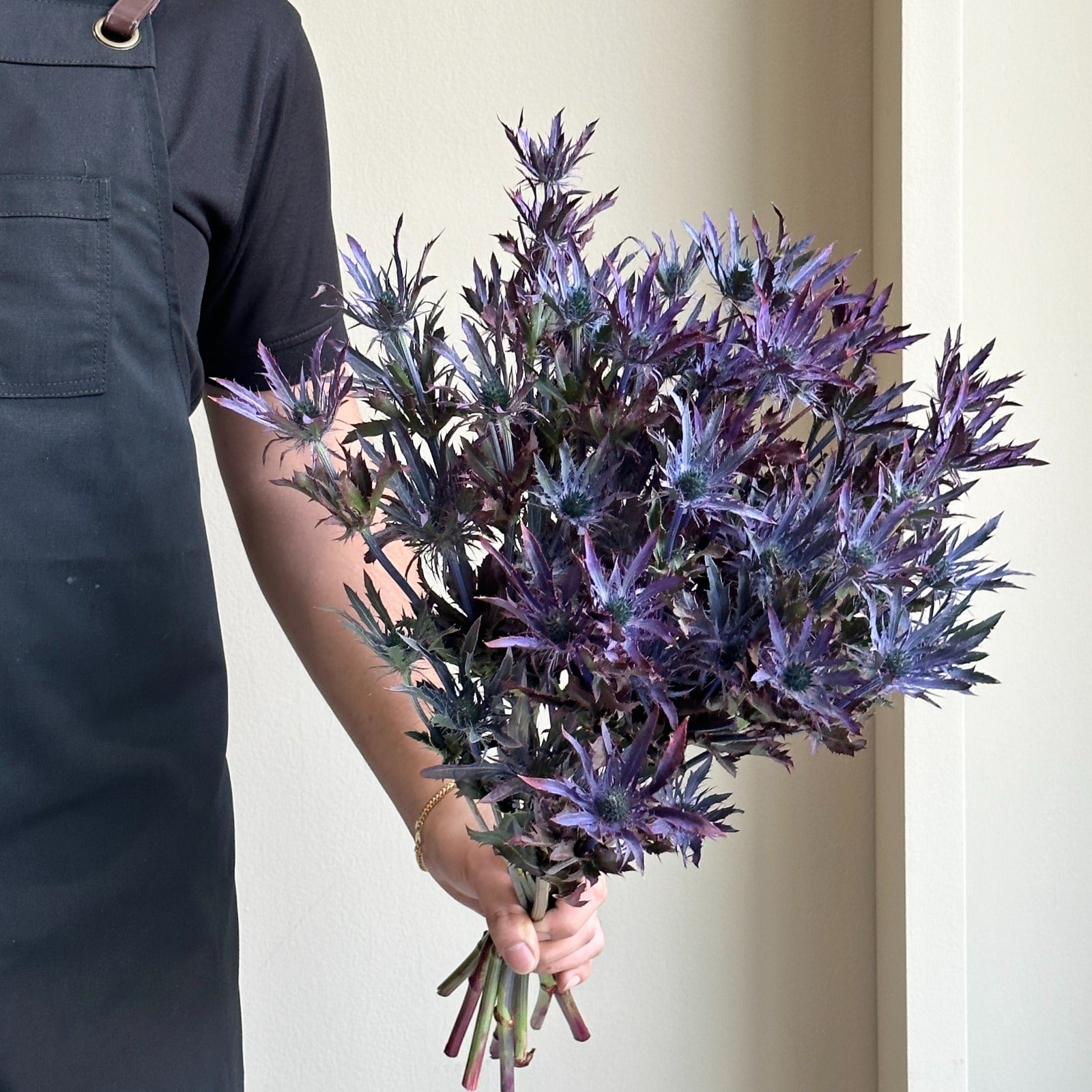 Eryngium Red Magic Spray