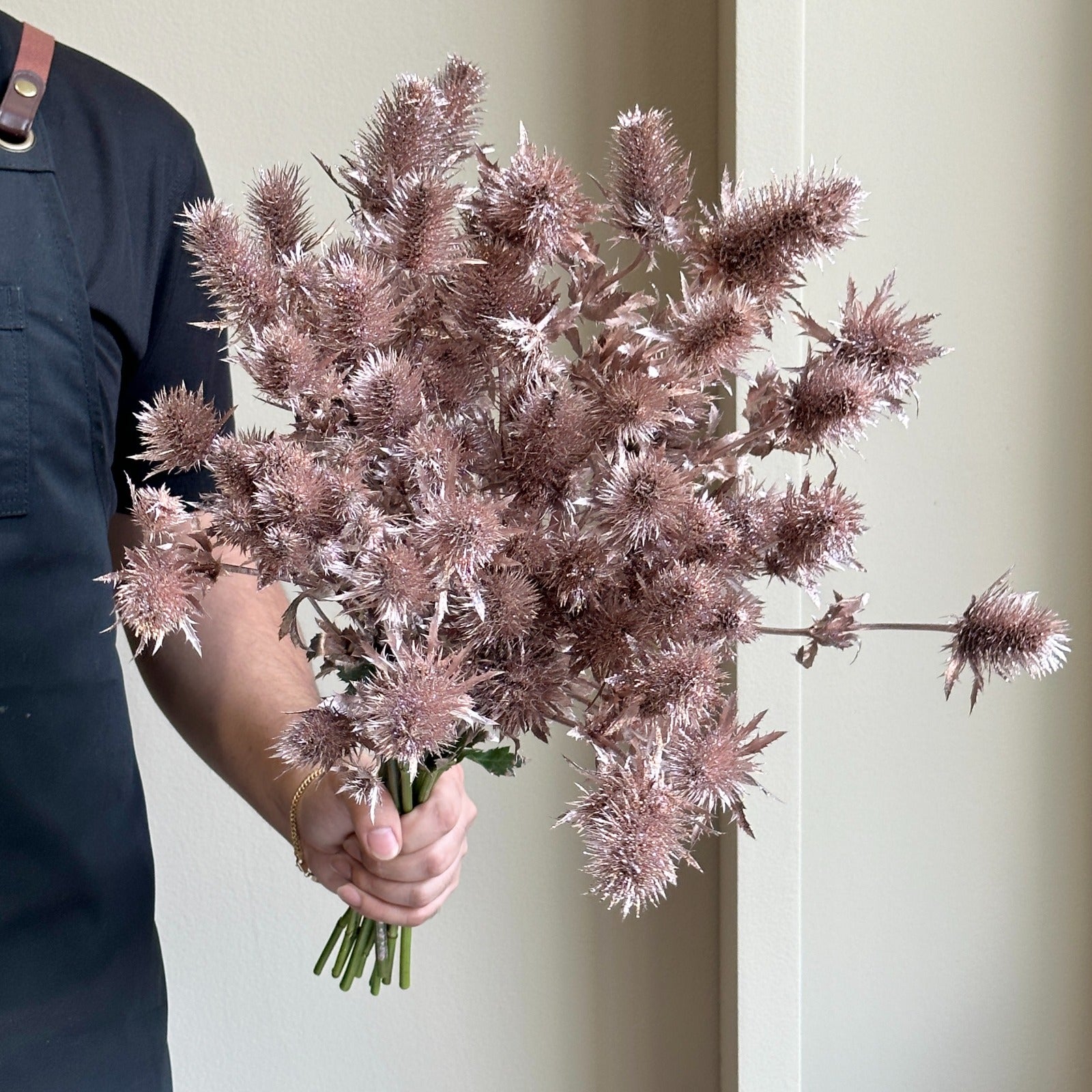 Eryngium Orion Dyed Antique Champagne Glittered
