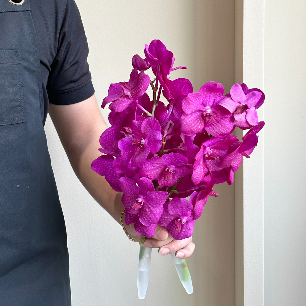 Vanda Orchids - Nitaya Rosy
