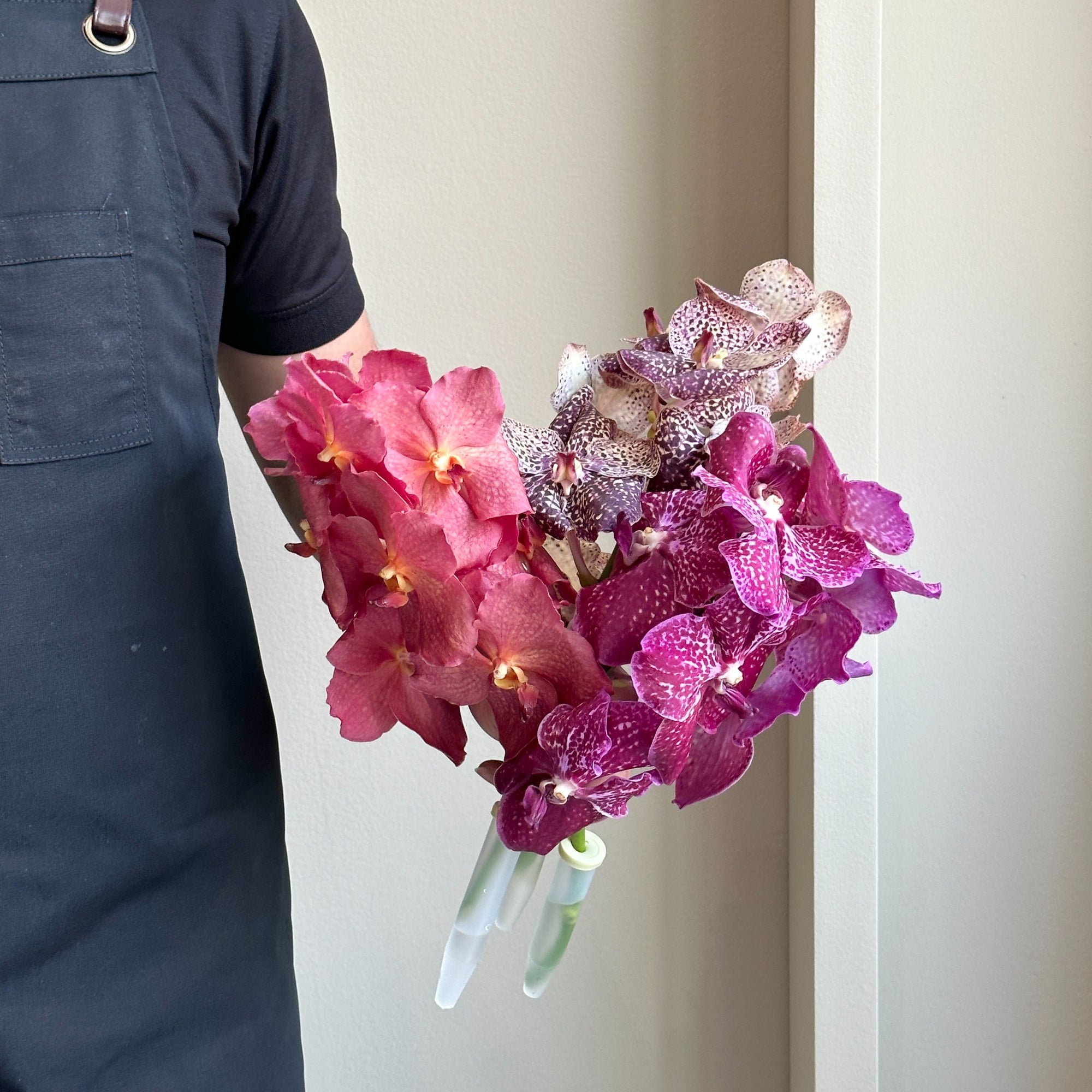 Vanda Orchids - Coral Mix