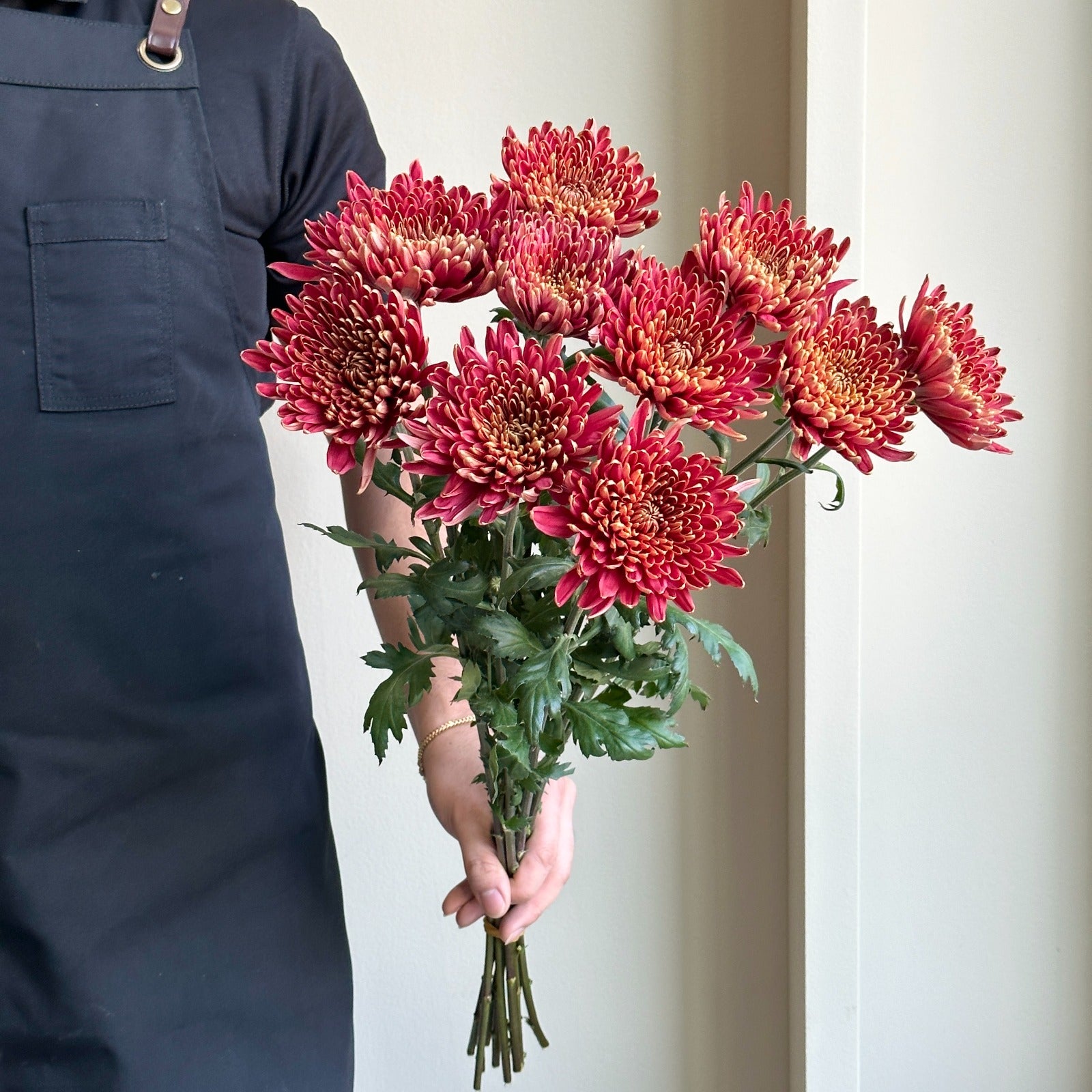 Chrysanthemums - Rosetta