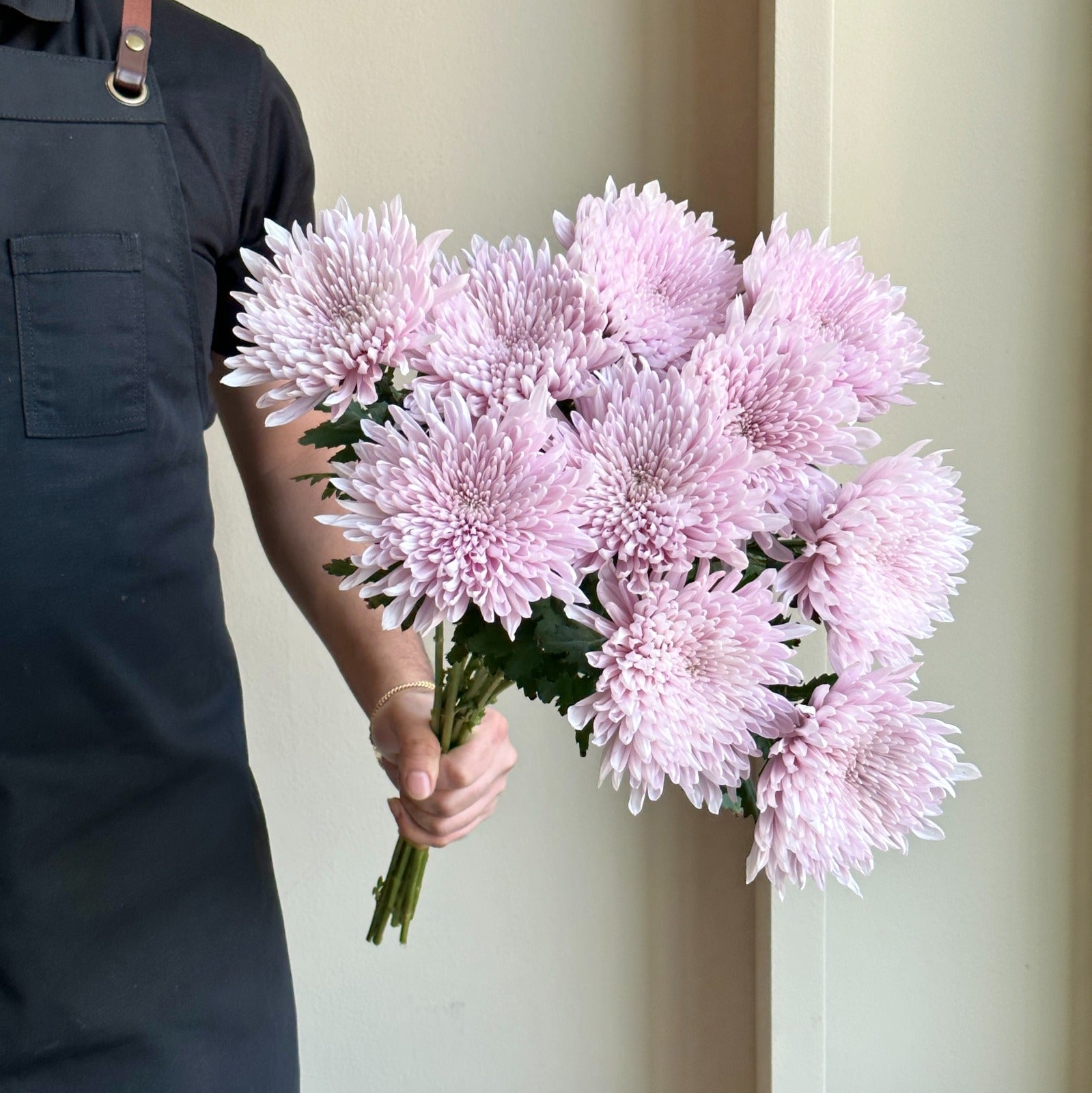 Chrysanthemums - Honey Moon