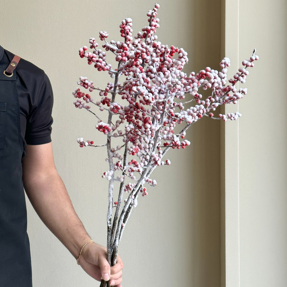 Ilex Verticillata - Red Winterberries Snow Tall