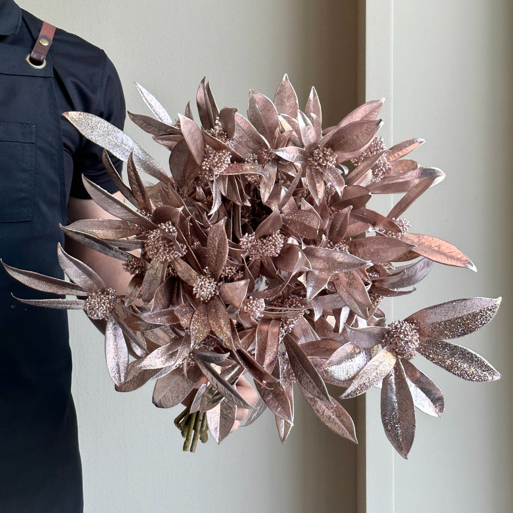 Skimmia - Metallic Champagne