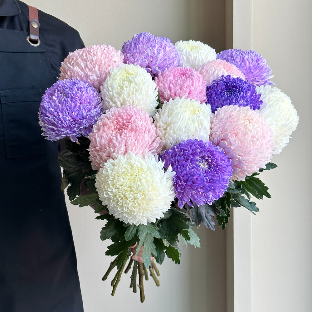 Chrysanthemum Mixed - Porcelaine Petals (15 stems)