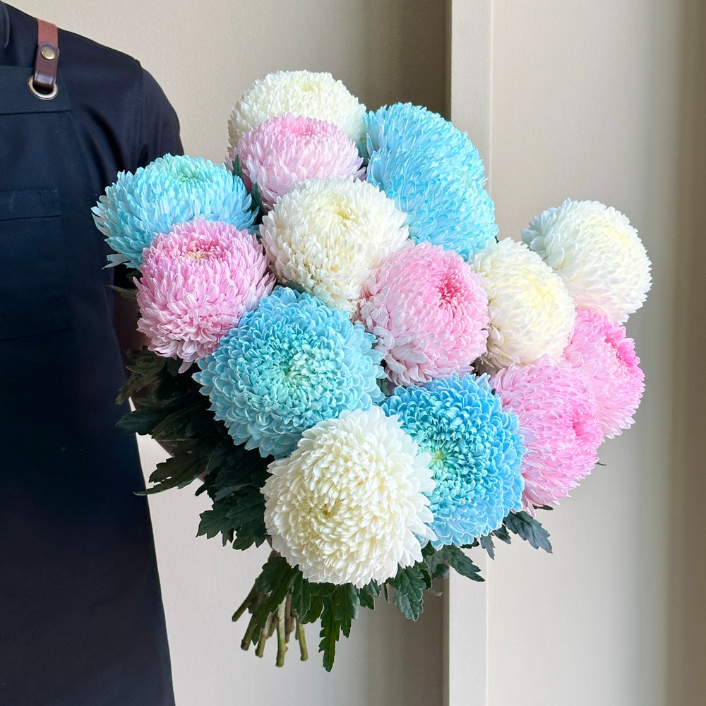 Chrysanthemum Mixed - Cloud Nine (15 stems)